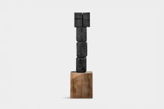Dark Wood Abstract Sculpture Contemporary Unseen Force No36 by NONO