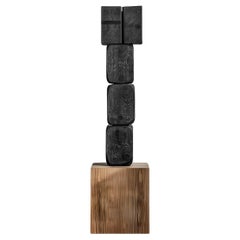 Dark Wood Abstract Sculpture Contemporary Unseen Force No36 by NONO