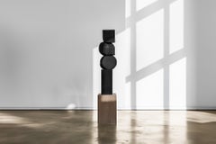 Dark Wood Sculpture Contemporary Art Unseen Force No31 by Joel Escalona