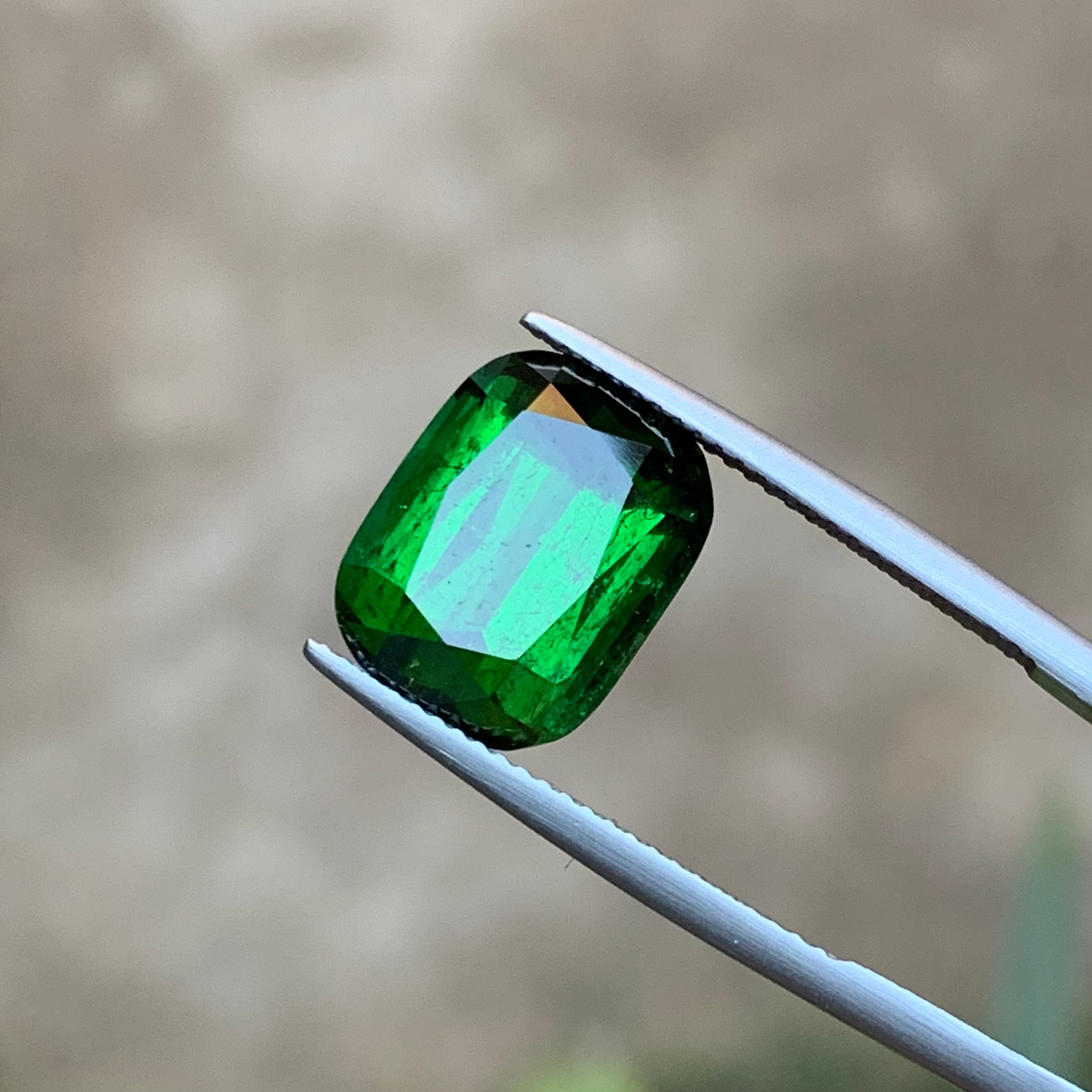 Darkish Rich Green Natürlicher Turmalin Ring, Anhänger Loser Edelstein 9,25 Ct-Jewel im Angebot 4
