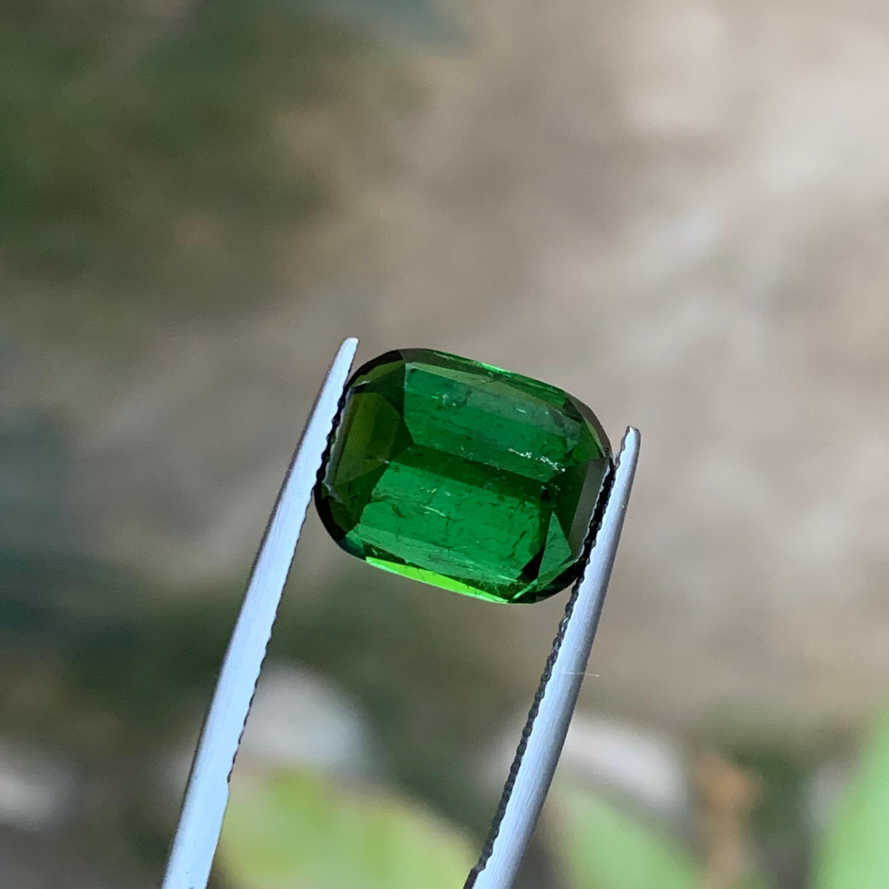 Darkish Rich Green Natürlicher Turmalin Ring, Anhänger Loser Edelstein 9,25 Ct-Jewel im Angebot 5