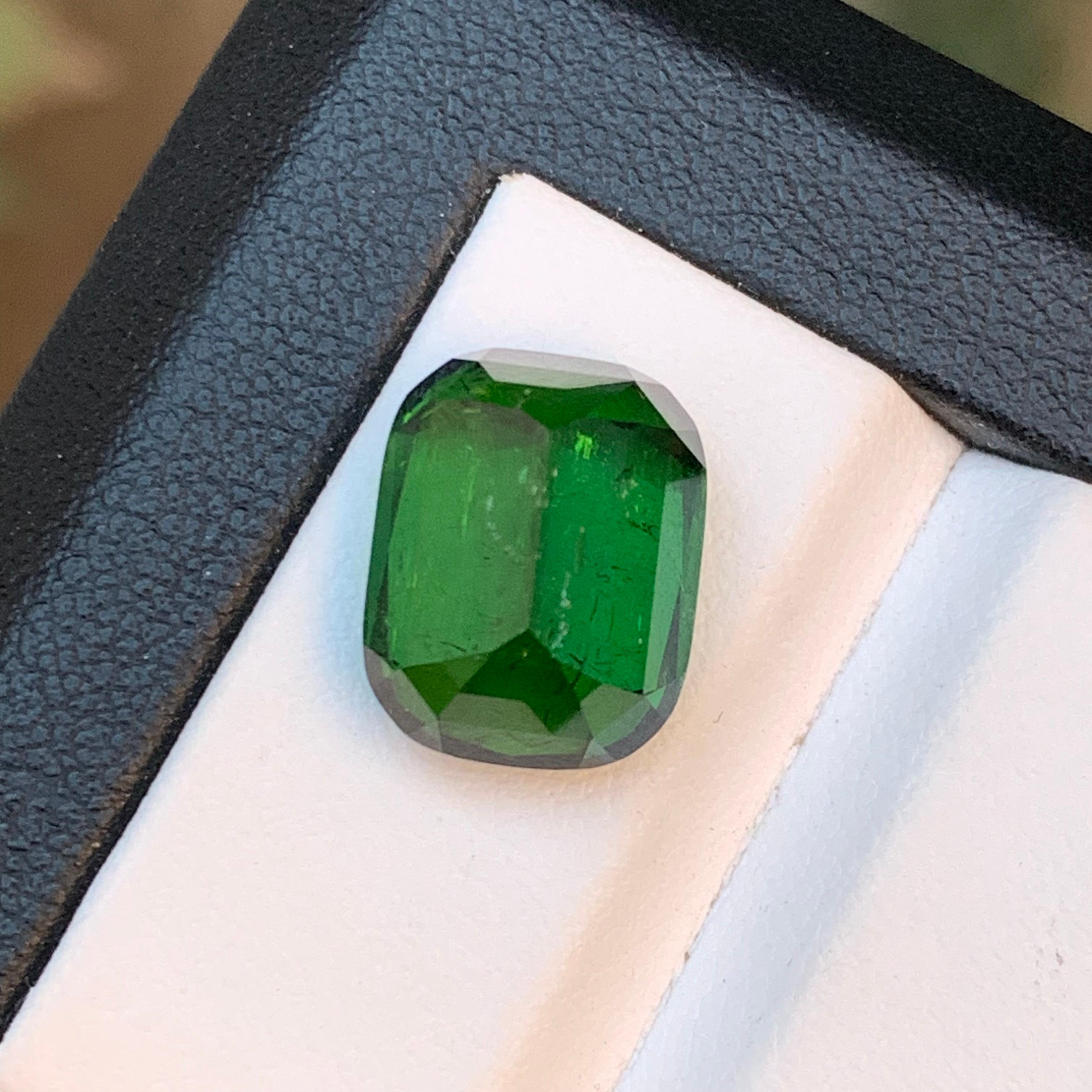 Darkish Rich Green Natürlicher Turmalin Ring, Anhänger Loser Edelstein 9,25 Ct-Jewel im Angebot 1