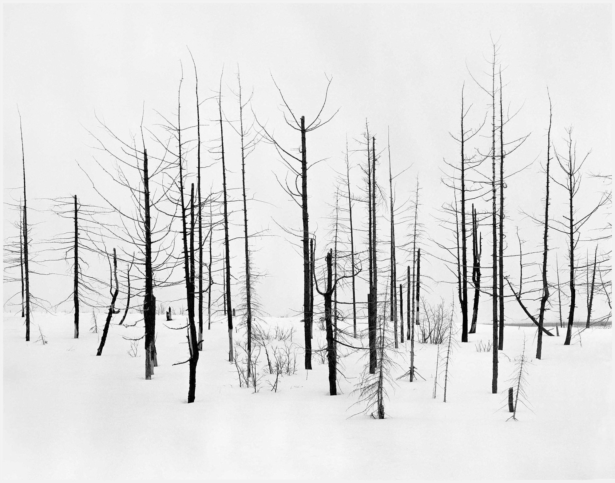 Darren Almond Black and White Photograph - 69th Parallel 2