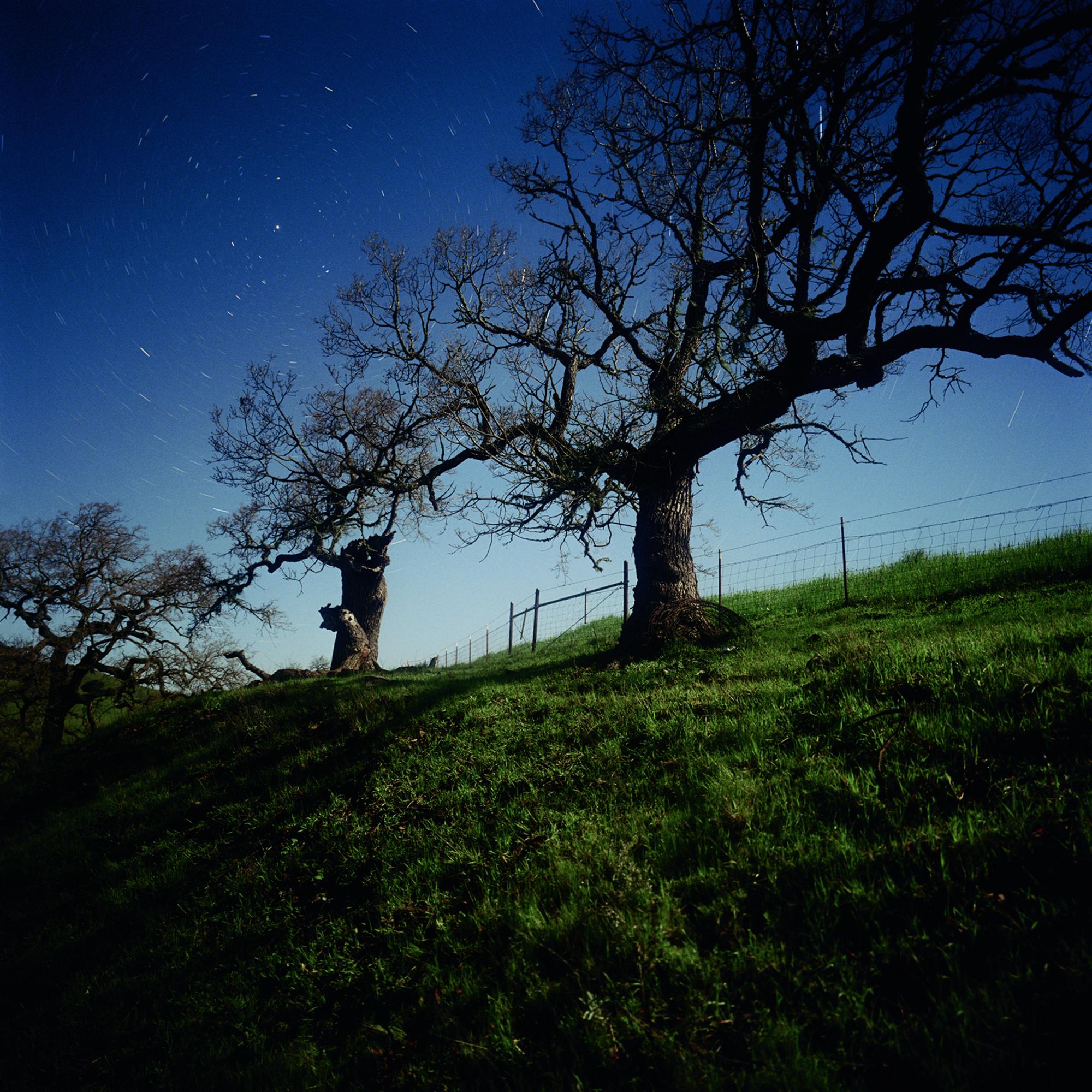 Darren Almond Color Photograph – California North Star