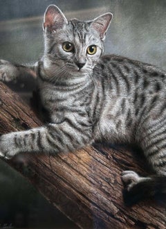 Neugierde  Original Pastell Portrait einer Katze von Contemporary Artist
