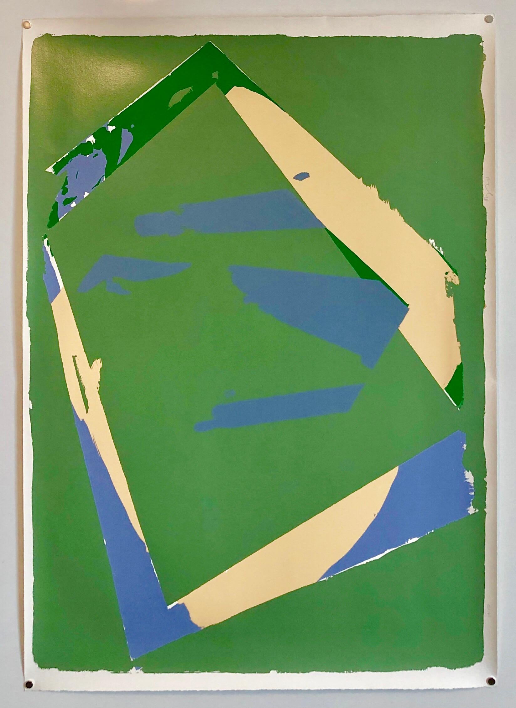 1970s Large Abstract Color Field Silkscreen Modernist Serigraph Bold Blue Green  3