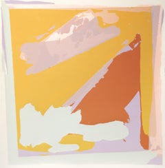 Loon, Abstract Expressionist Screenprint by Darryl Hughto