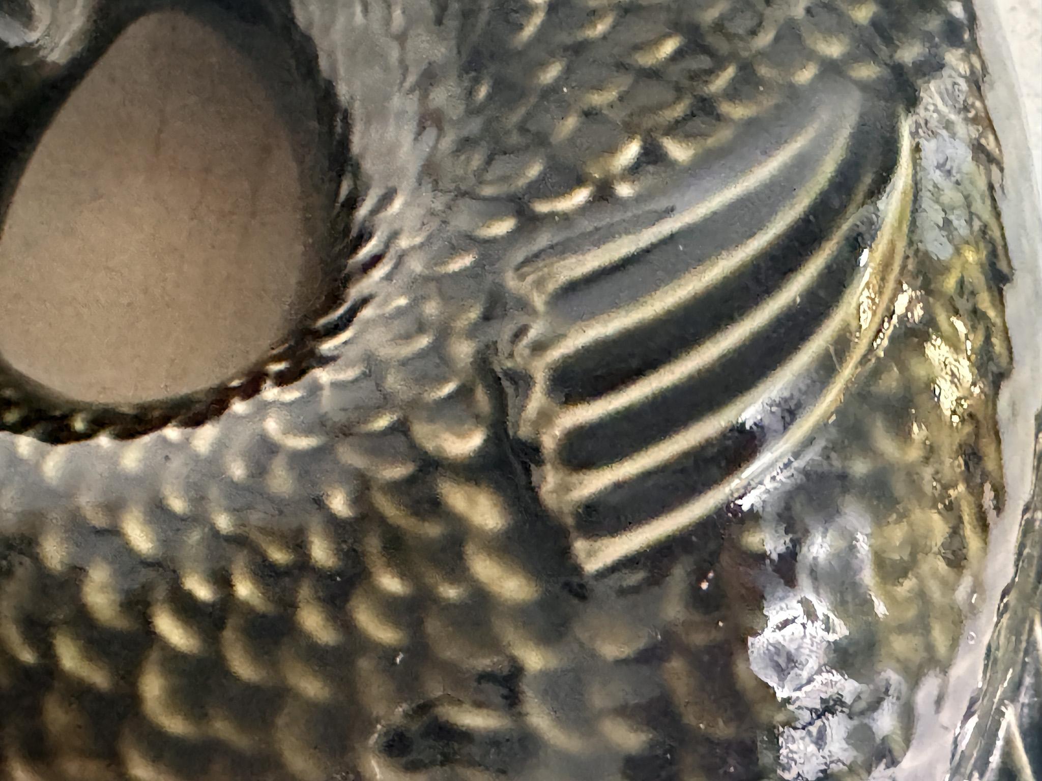 dartmouth devon england fish vase