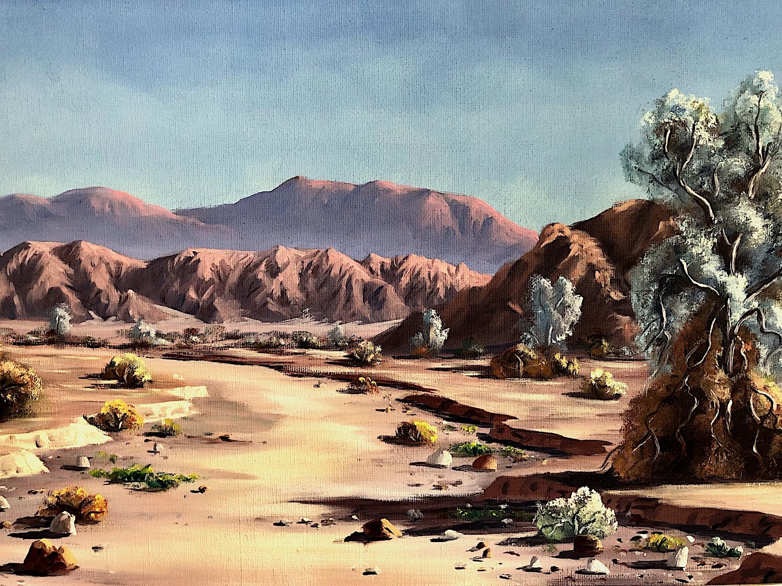 Paysage désertique avec arbres à fumée - Painting de Darwin Y. Taylor