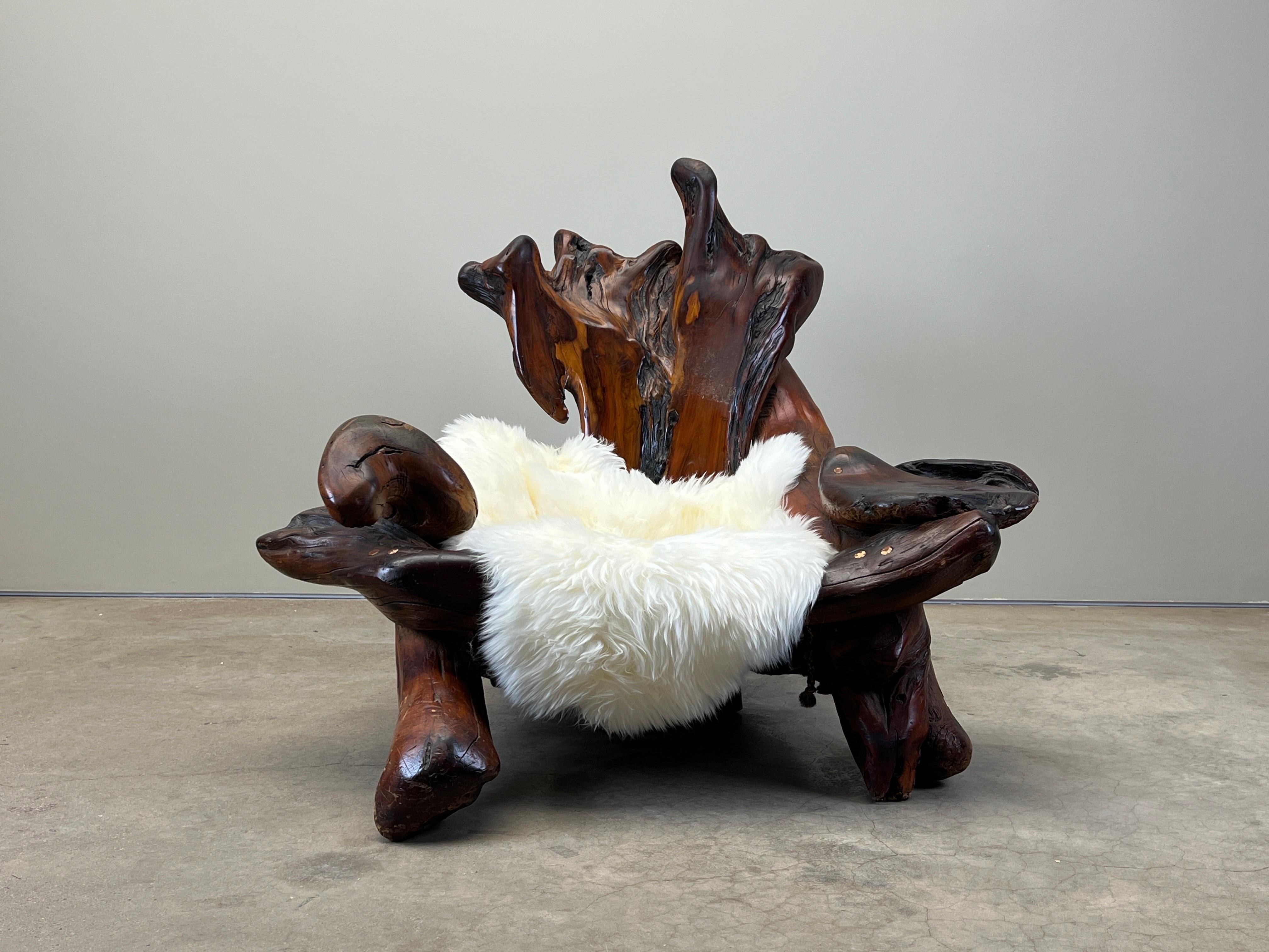 A large redwood burl root chair made by Daryl Stokes, 1970's. Webbed cord  seat with sheepskin throws. 