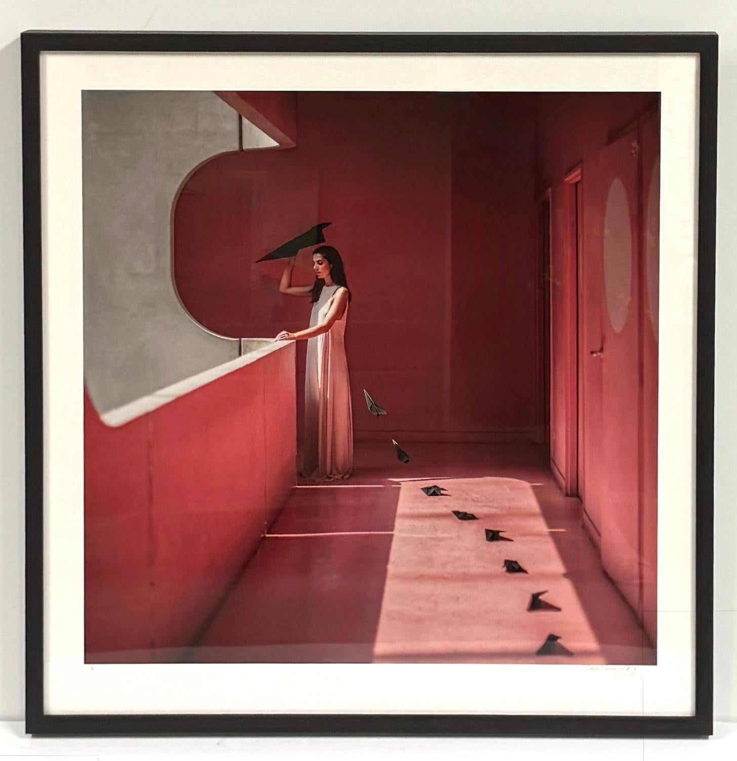 Cette composition géométrique rose crée un mouvement avec des plans en origami noirs qu'une femme s'apprête à jeter par-dessus le rebord. Ce film a été tourné à Paris. Il s'agit d'une photographie couleur en édition limitée. Le numéro 1 sur 12 est