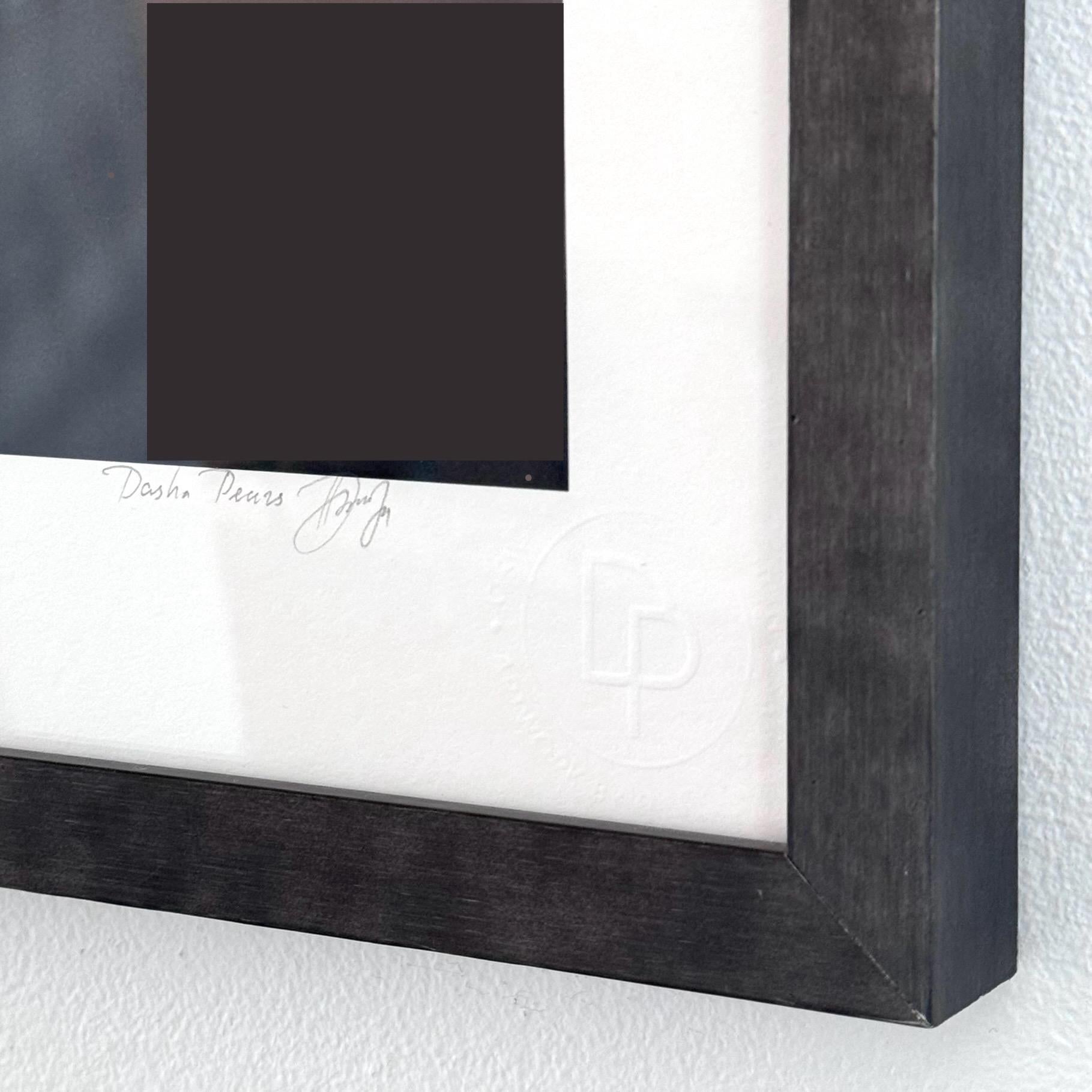 Il s'agit d'une photographie couleur en édition limitée. Le numéro 1 sur 8 est actuellement disponible, encadré dans un cadre en placage de fer martelé avec acrylique UV.
Tourné à Paris.

Œuvre d'art en édition limitée sur papier FineArt Bambou de