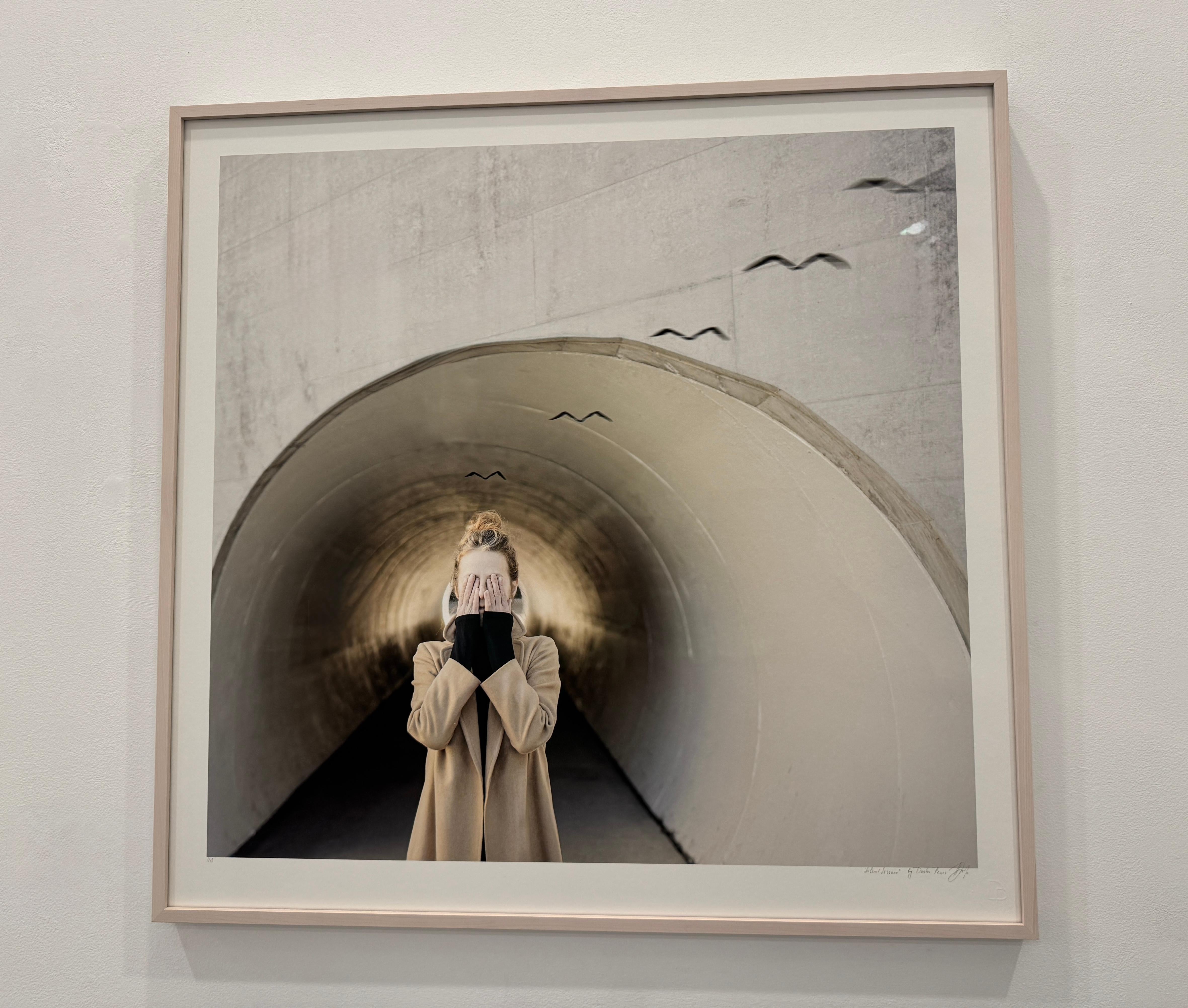 Medium Framed Limited Edition Color Photograph Woman in Tunnel w origami birds For Sale 7