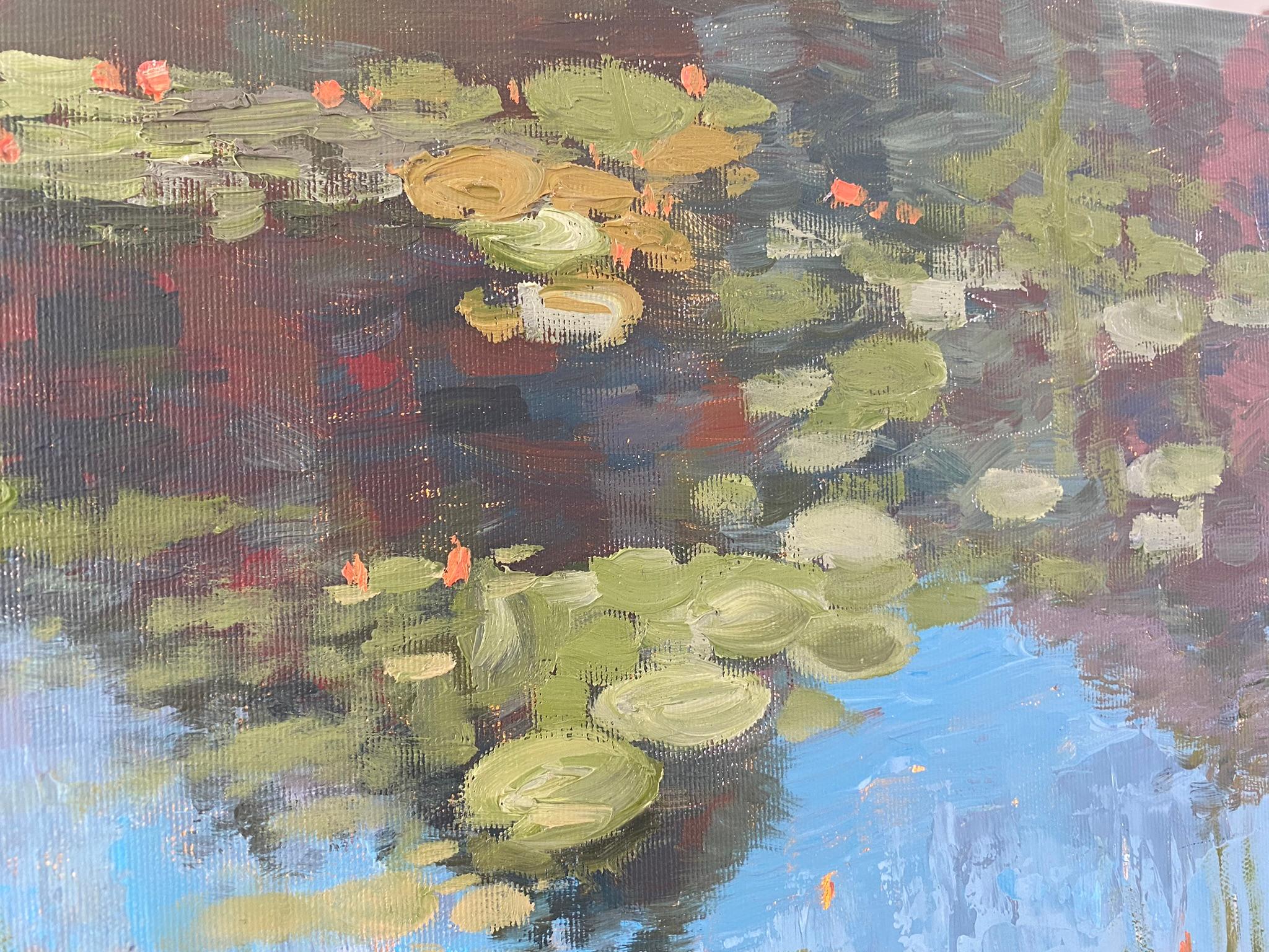 Water lily garden For Sale 5