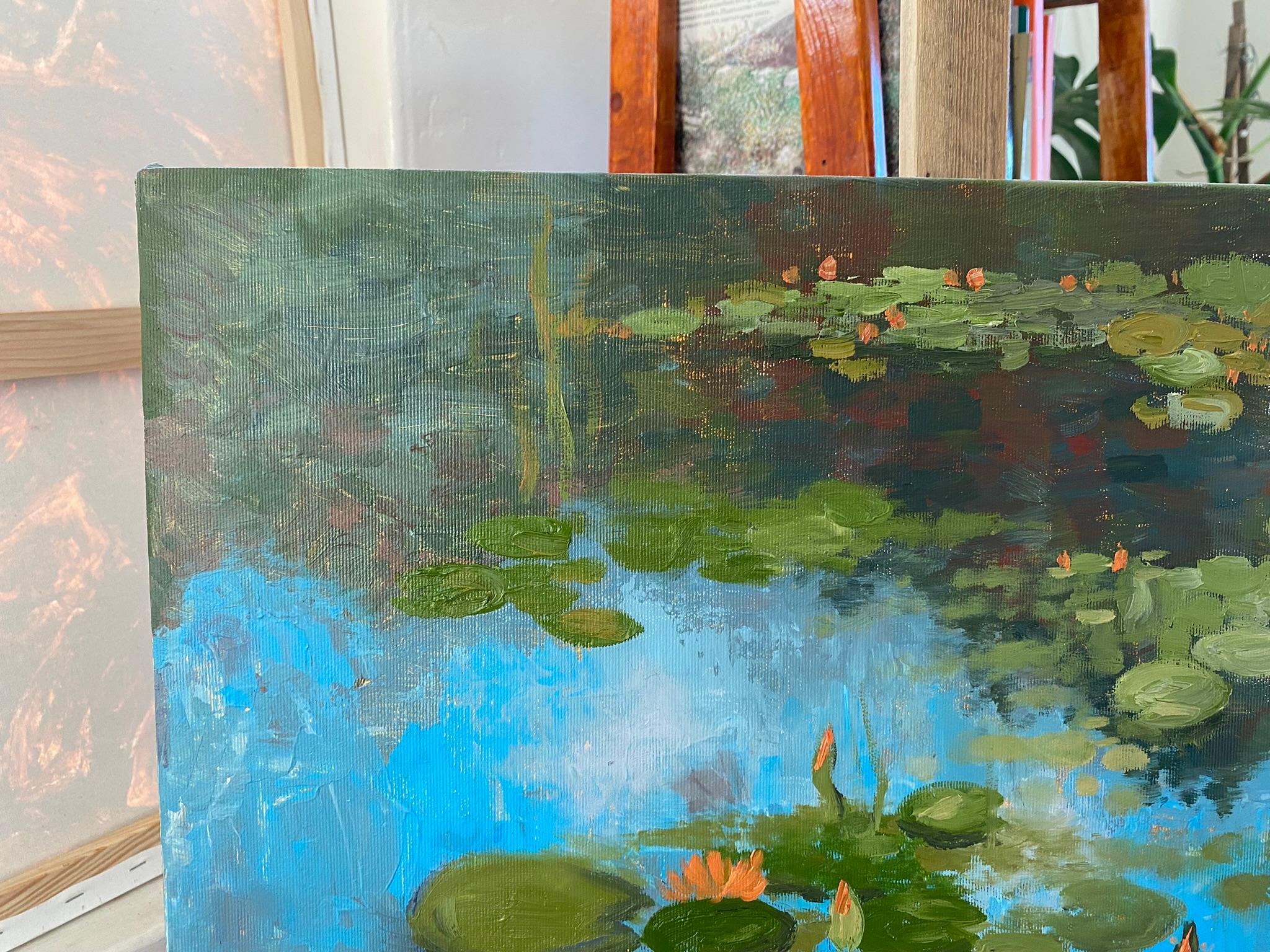 Water lily garden For Sale 1