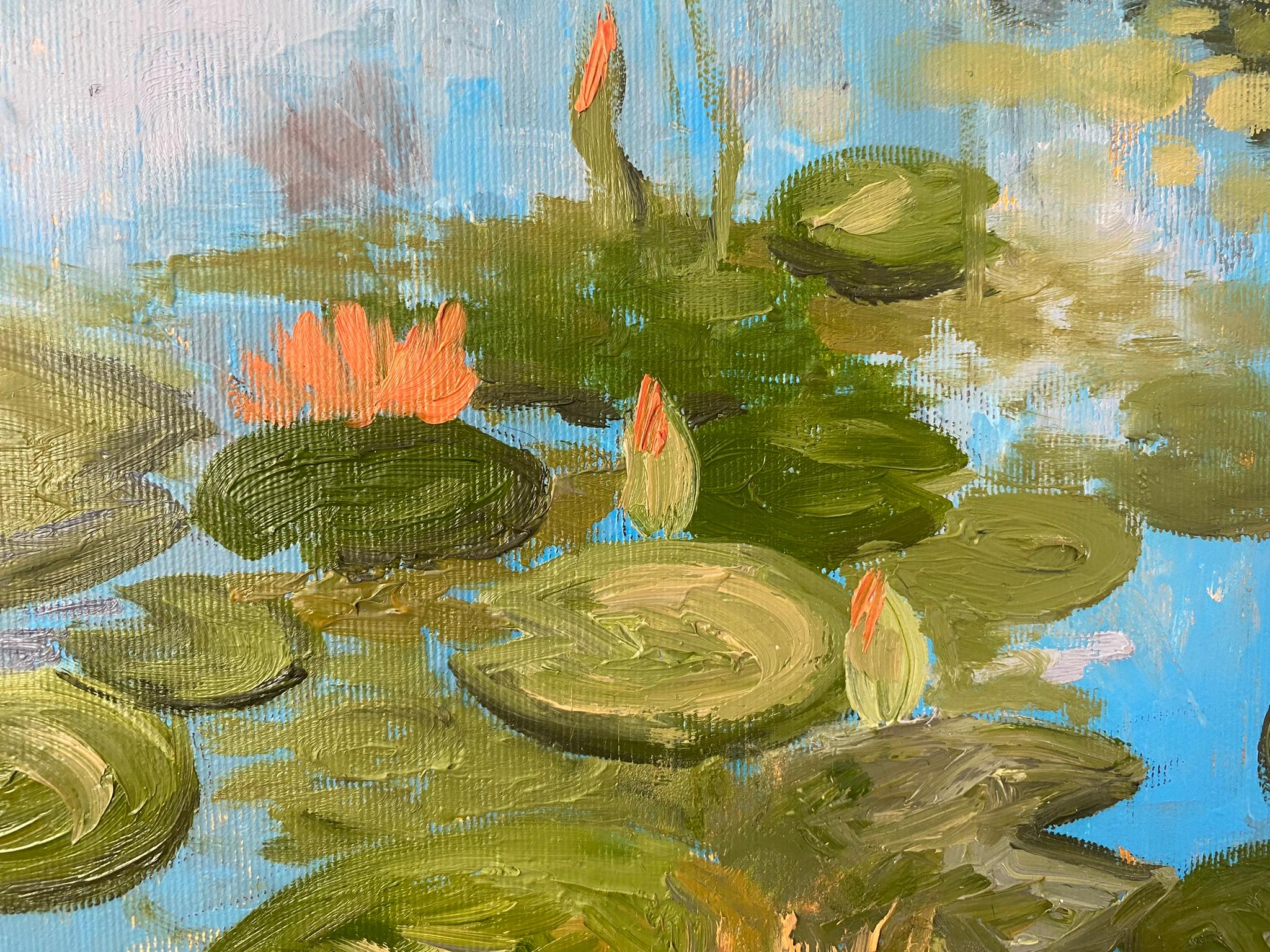 Water lily garden For Sale 2