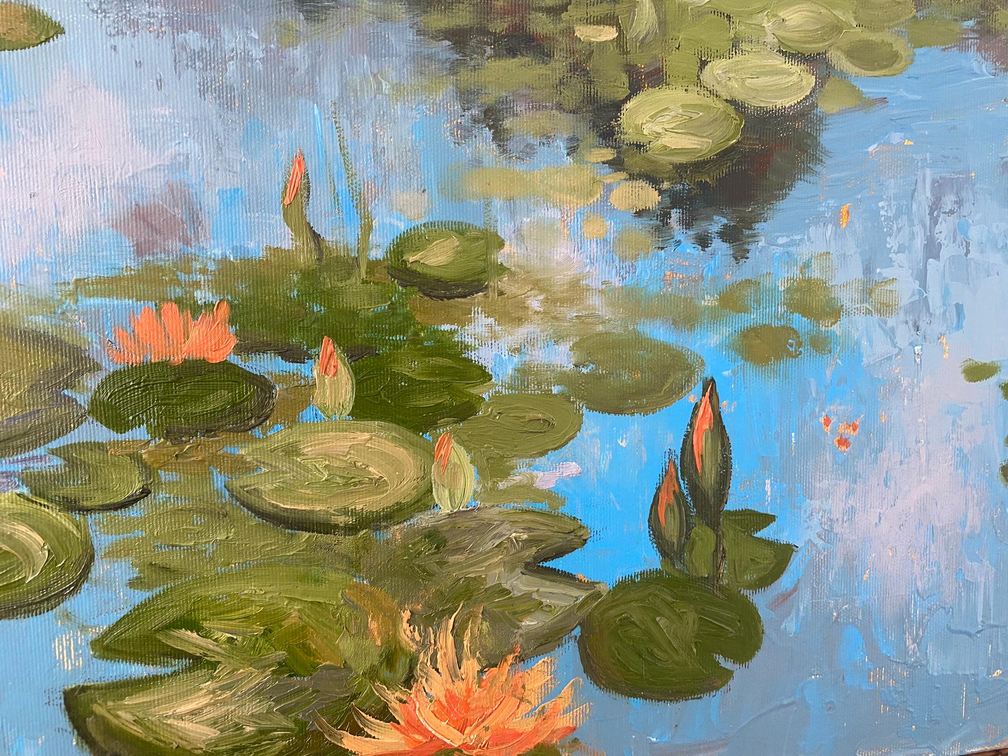 Water lily garden For Sale 4