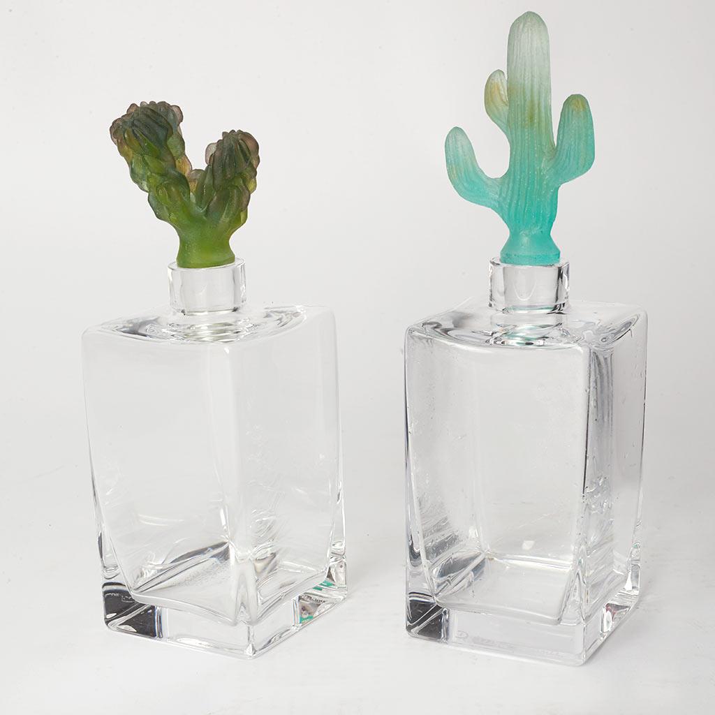 carafe cactus