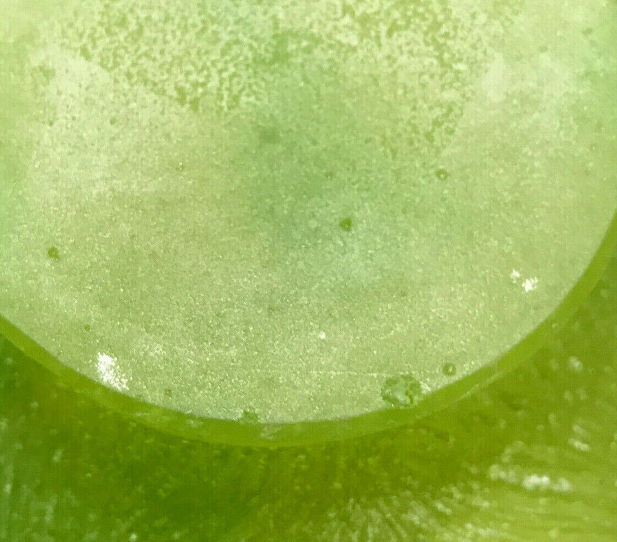 Daum France Pate De Verre Vert D'Espagne - Édition limitée de Salvador Dali en vente 4