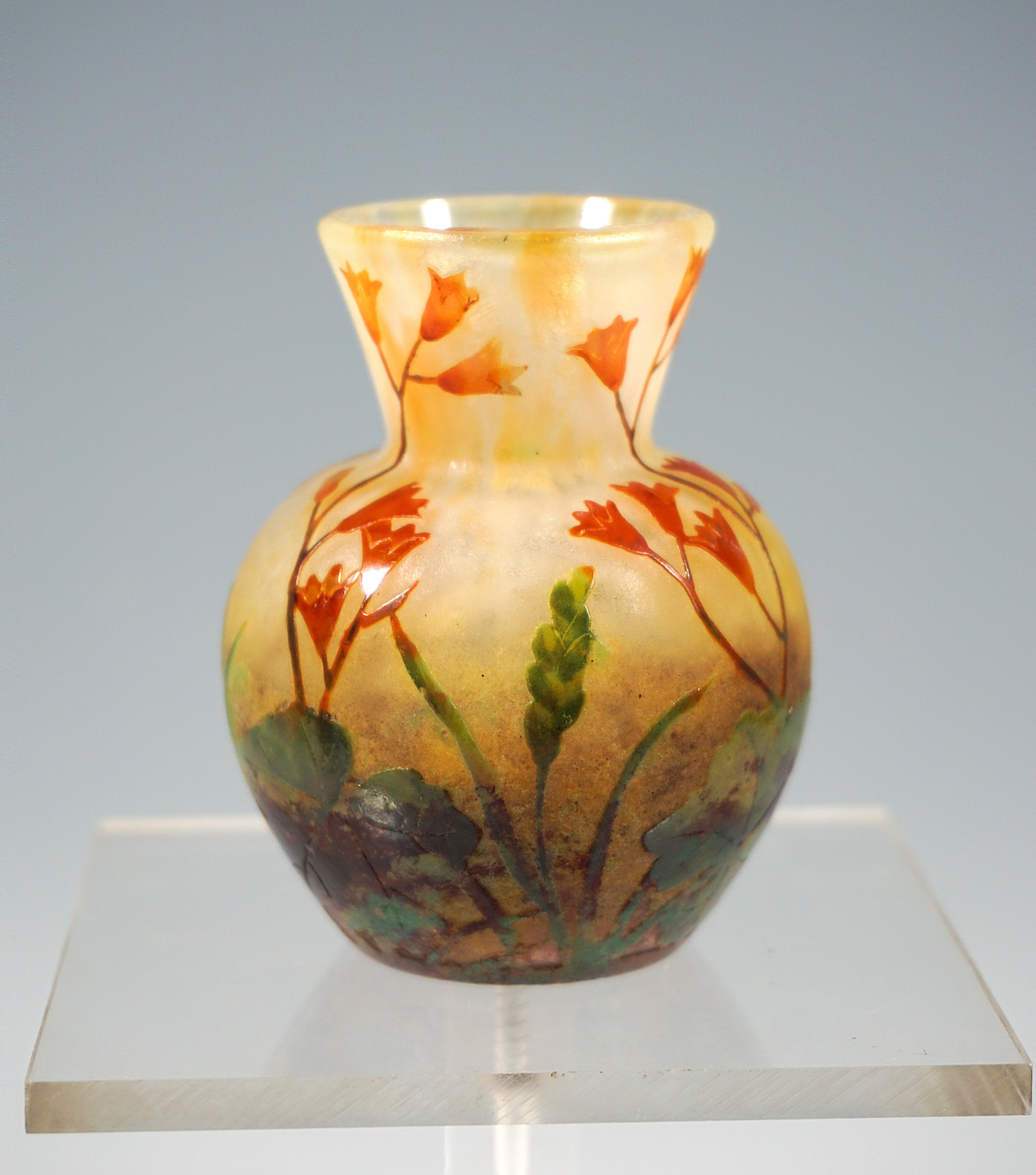 Small baluster vase, flush round stand, bulbous body with attached funnel-shaped neck, colorless glass with color powder enamels in white, yellow and brown, overlay in red, green and brown, with highly etched and colored enamel painted alumroot