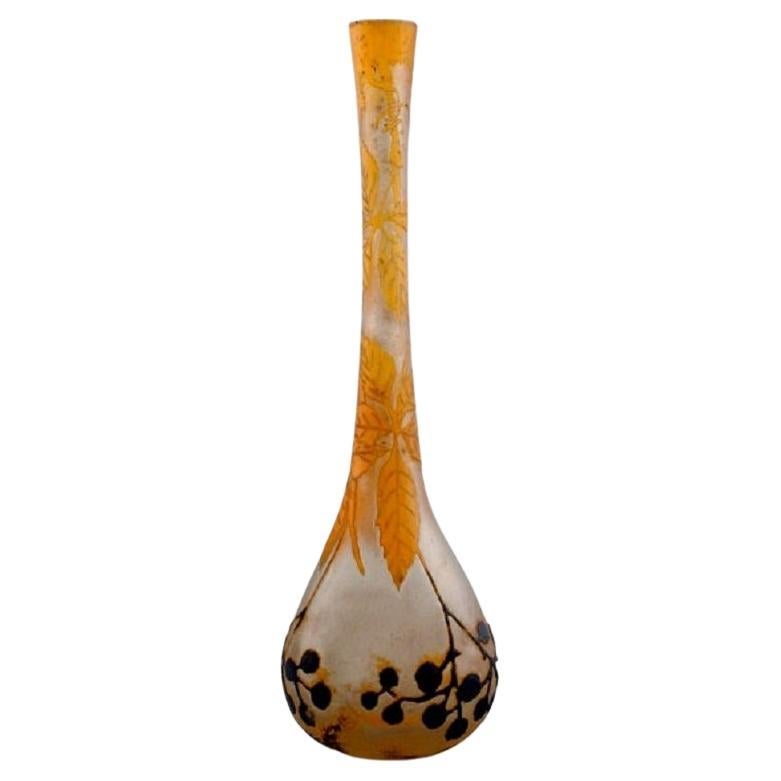 Daum Nancy, France, Art Nouveau Prunellier Vase in Frosted Mouth-Blown Art Glass