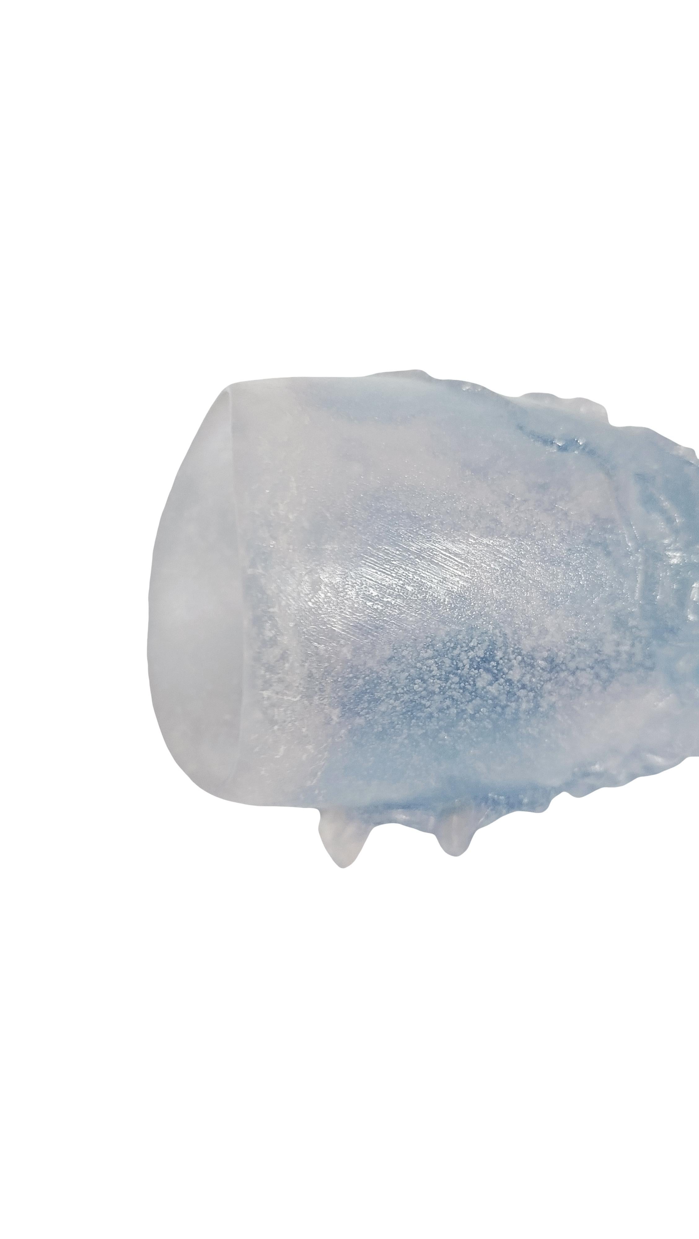 Daum-Nancy Obstschale und zwei Vasen im Angebot 6