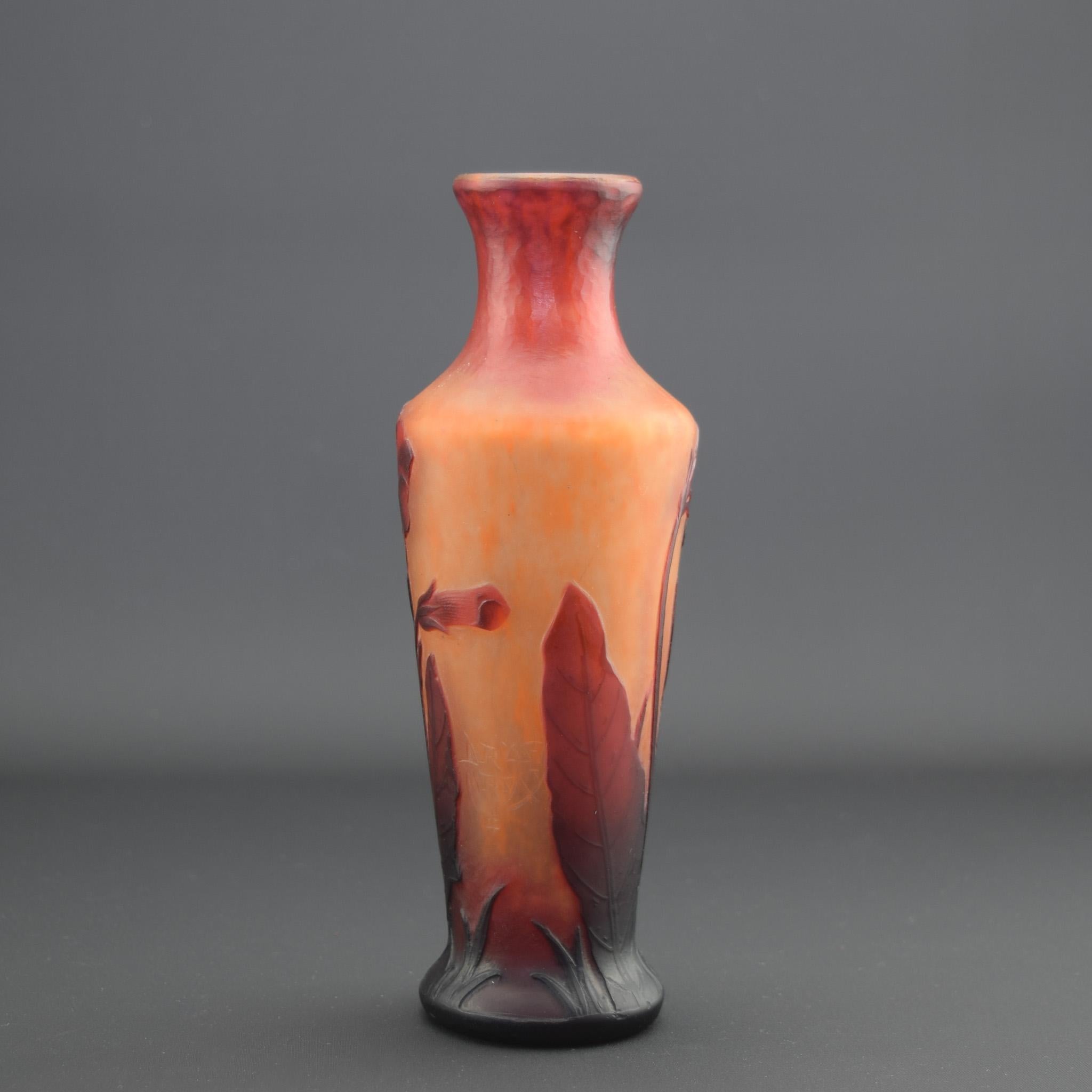 Jarrón de cristal camafeo Daum Nancy Nicotiana C1900 Art Nouveau en venta