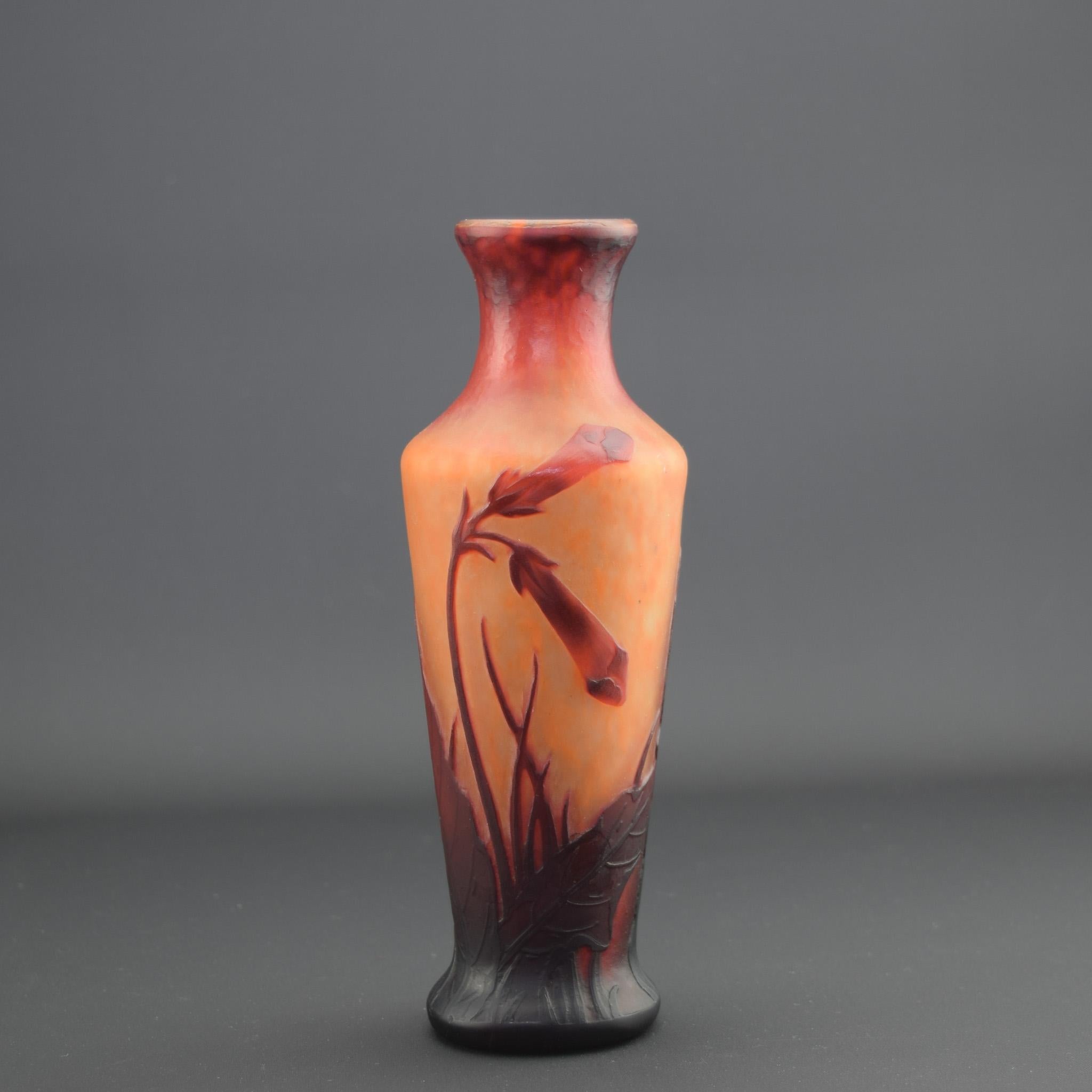 Jarrón de cristal camafeo Daum Nancy Nicotiana C1900 Francés en venta