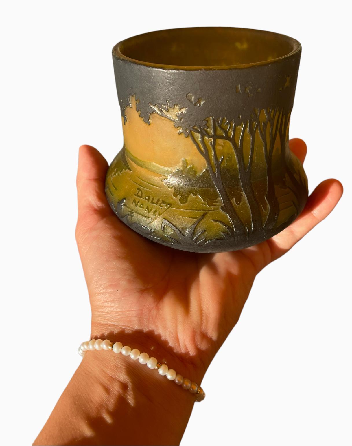 Daum Nancy - Vase With Lake Decor For Sale 5