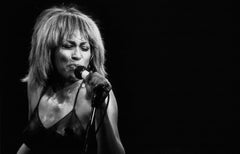 Vintage Tina 1986 - Dave Hogan Signed Limited Edition