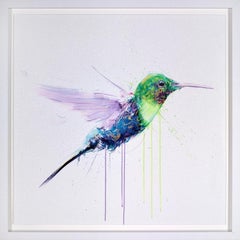 Hummingbird No.1