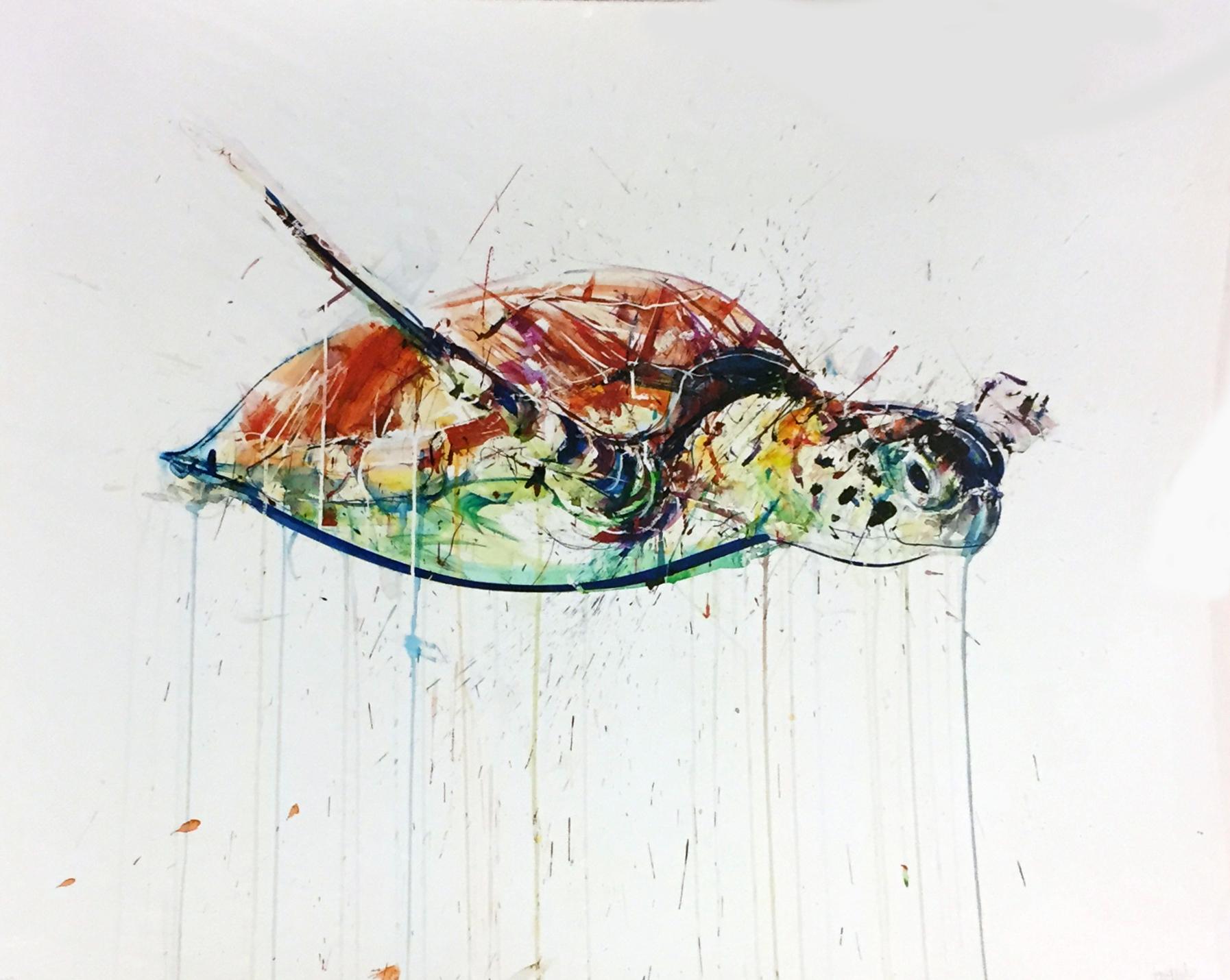 Dave White Animal Print - Sea Turtle Ed. 4 of 5