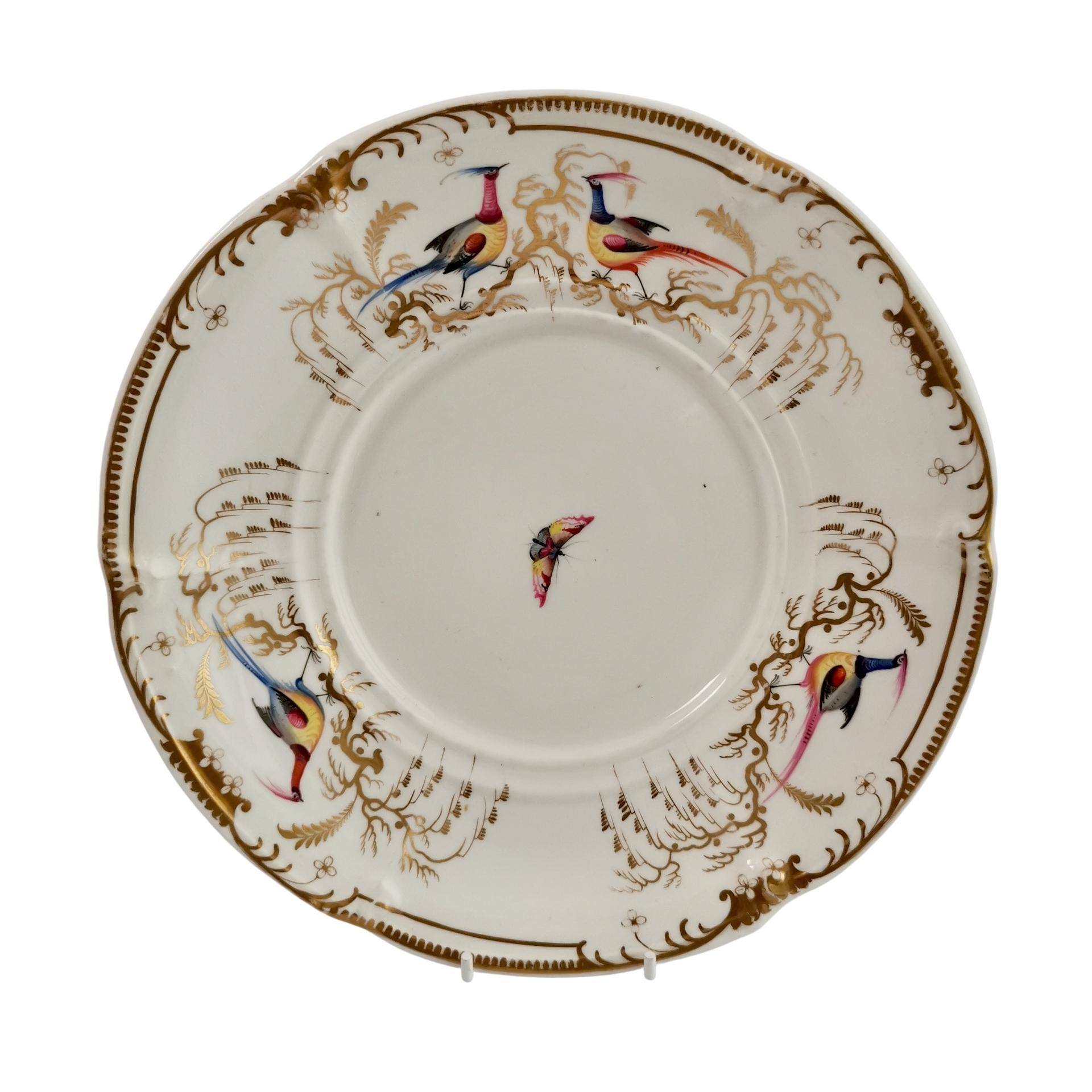 Davenport Porcelain Plate, Green with Rose and Sèvres Bird, ca 1830 6