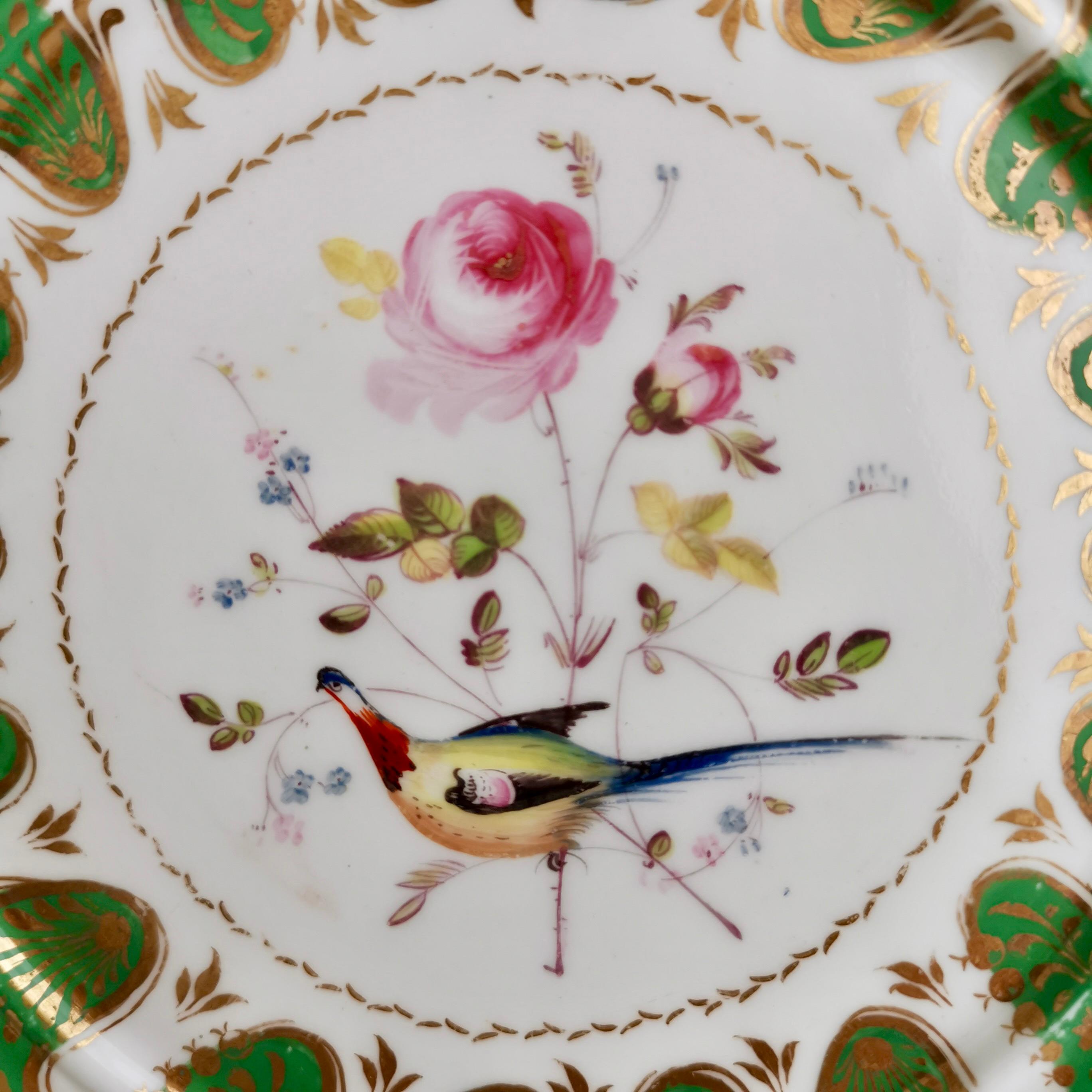 English Davenport Porcelain Plate, Green with Rose and Sèvres Bird, ca 1830