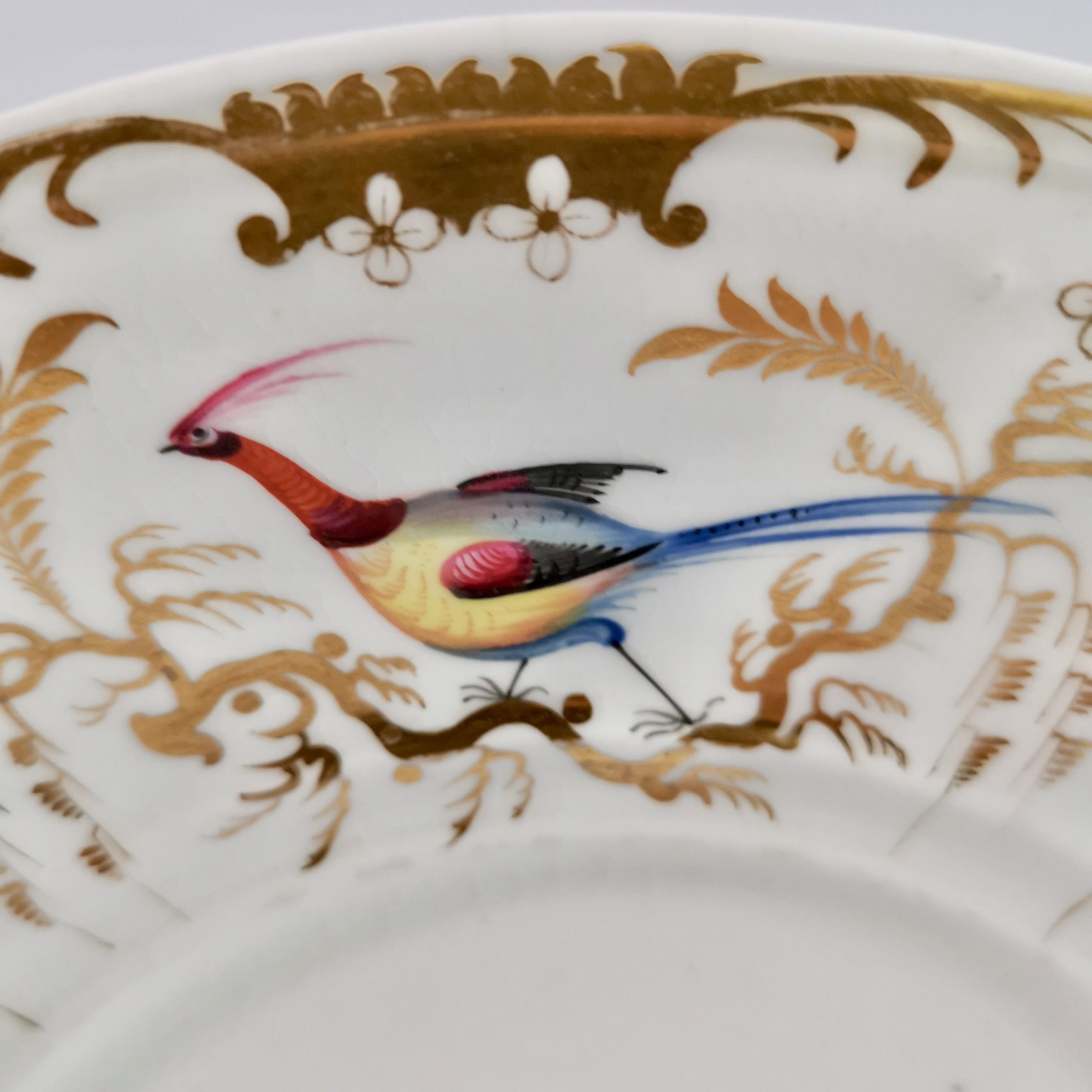 davenport pottery plates