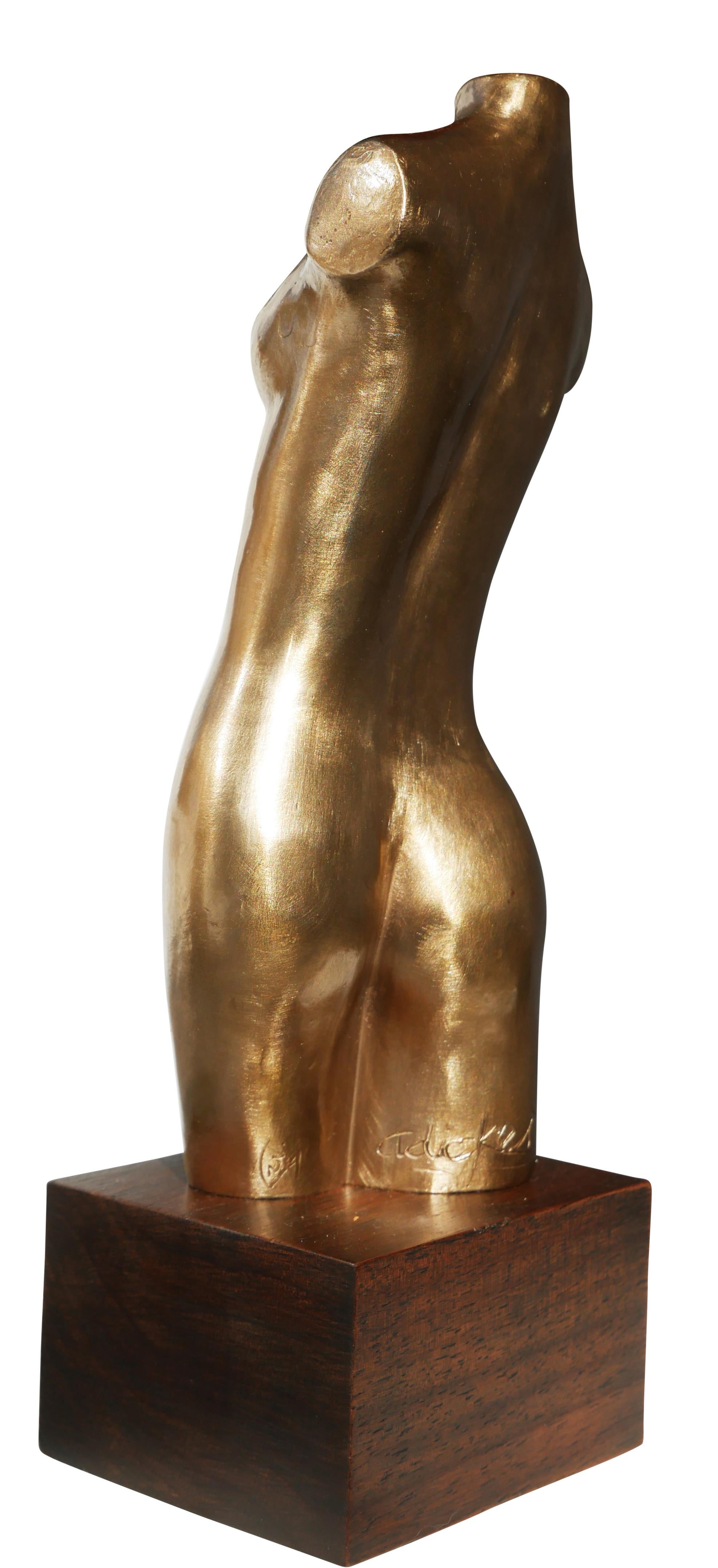 Sculpture de bronze moderniste représentant un nu, réalisée par l'artiste David Adickes, de Houston, au Texas. La sculpture représente un torse nu féminin abstrait sans bras qui repose sur une base en bois. La pièce est signée par l'artiste à