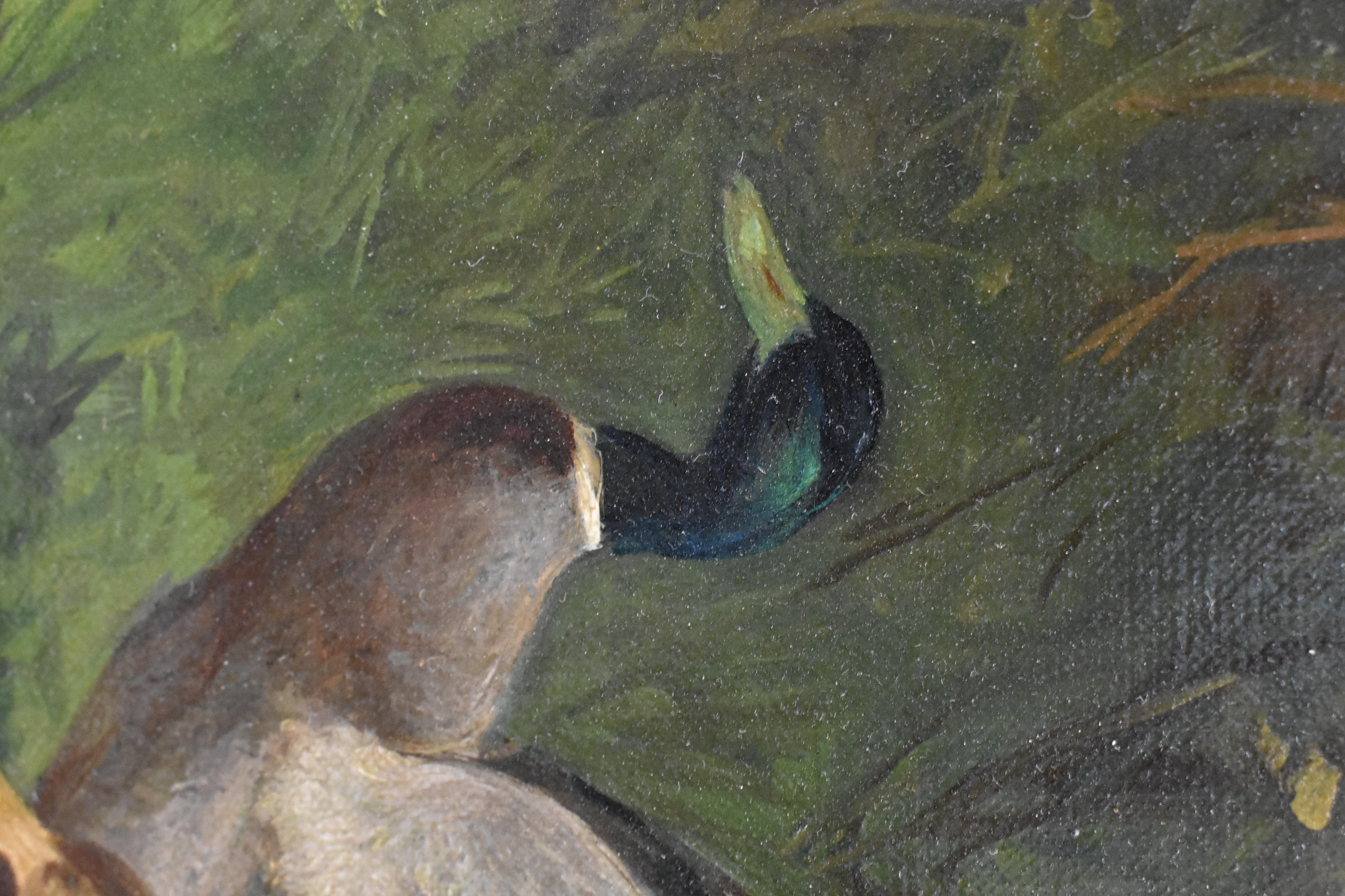 Ducks At The Waterfront Dutch David Constant Artz Impressionist realist.  For Sale 6