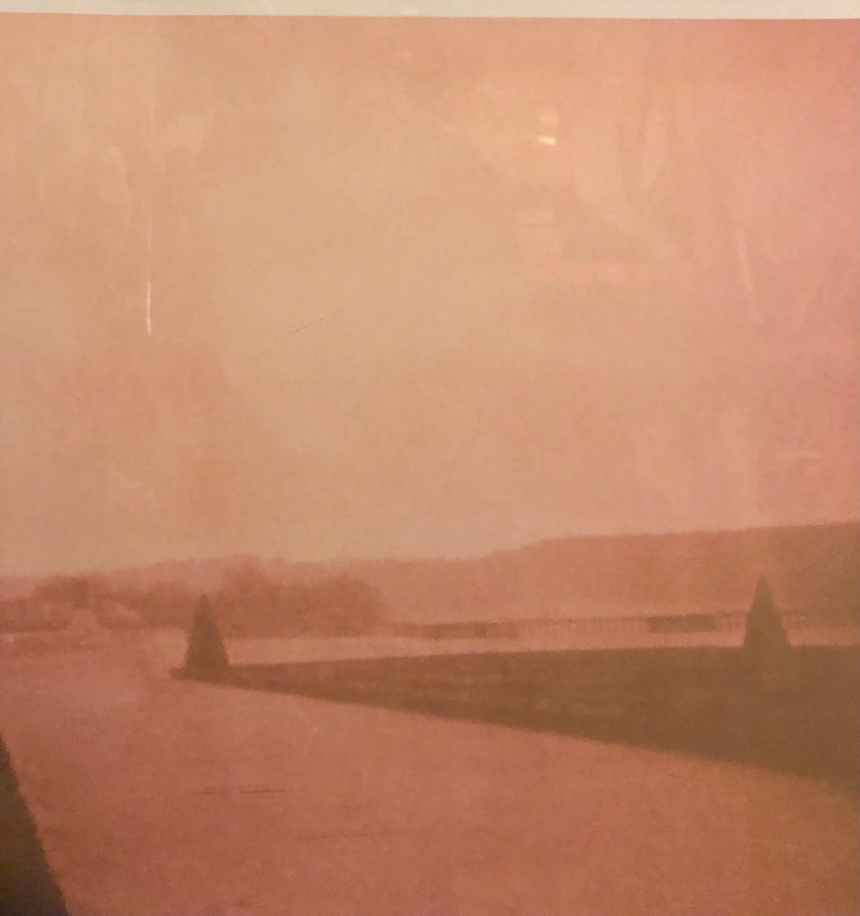 Grande fotografia d'epoca Polaroid Transfer Photo Print Giardini di Versailles Parigi - Photograph Moderno di David Aschkenas