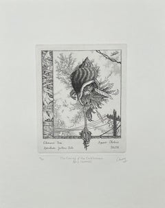 The Coming of the Cocklicranes, No. 2 (Summer), etching by David Avery