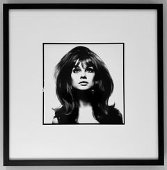 Jean Shrimpton (scatola di pin up)