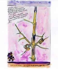 Homenaje a Ruth Grotenrath: El bastón