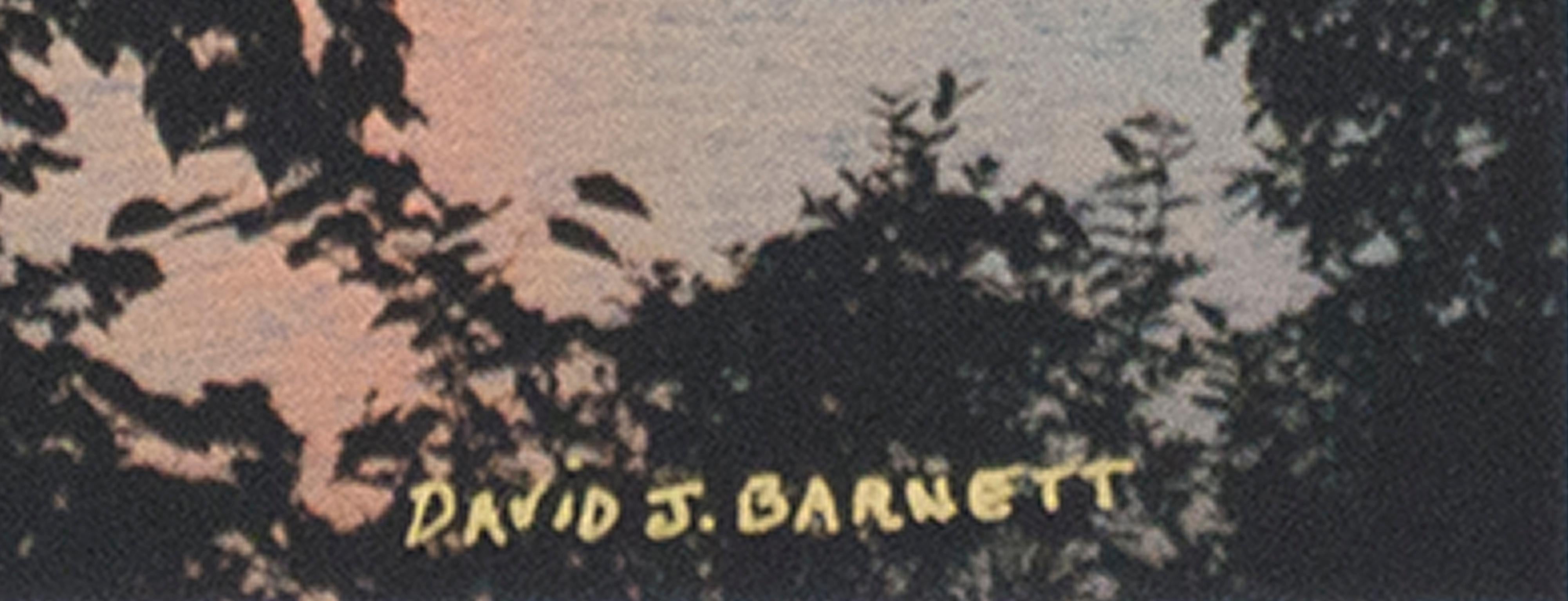 « Beaver Lake Sunrise, 9-16-2016 », photographie originale signée par David Barnett en vente 1