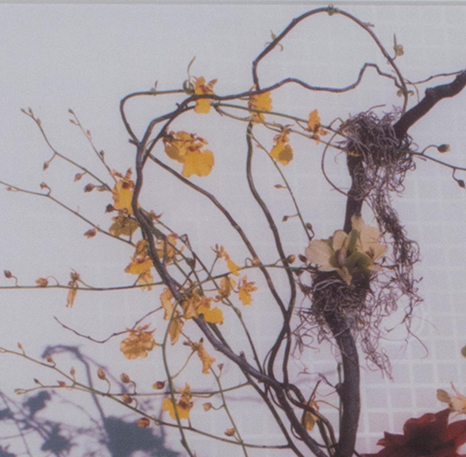 « Feng Shui Floral », photographie originale de nature morte signée par David Barnett en vente 3