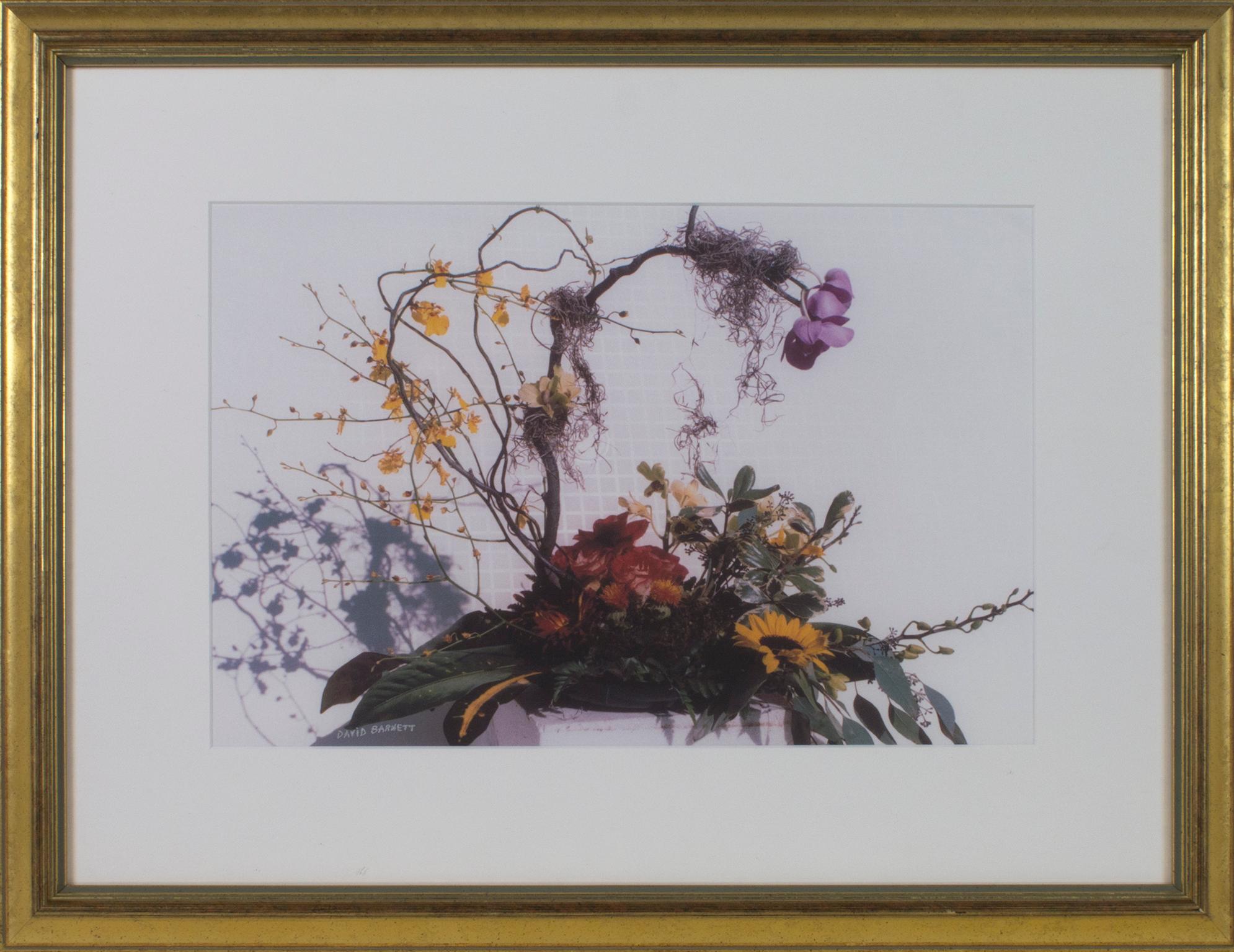 « Feng Shui Floral », photographie originale de nature morte signée par David Barnett en vente 5