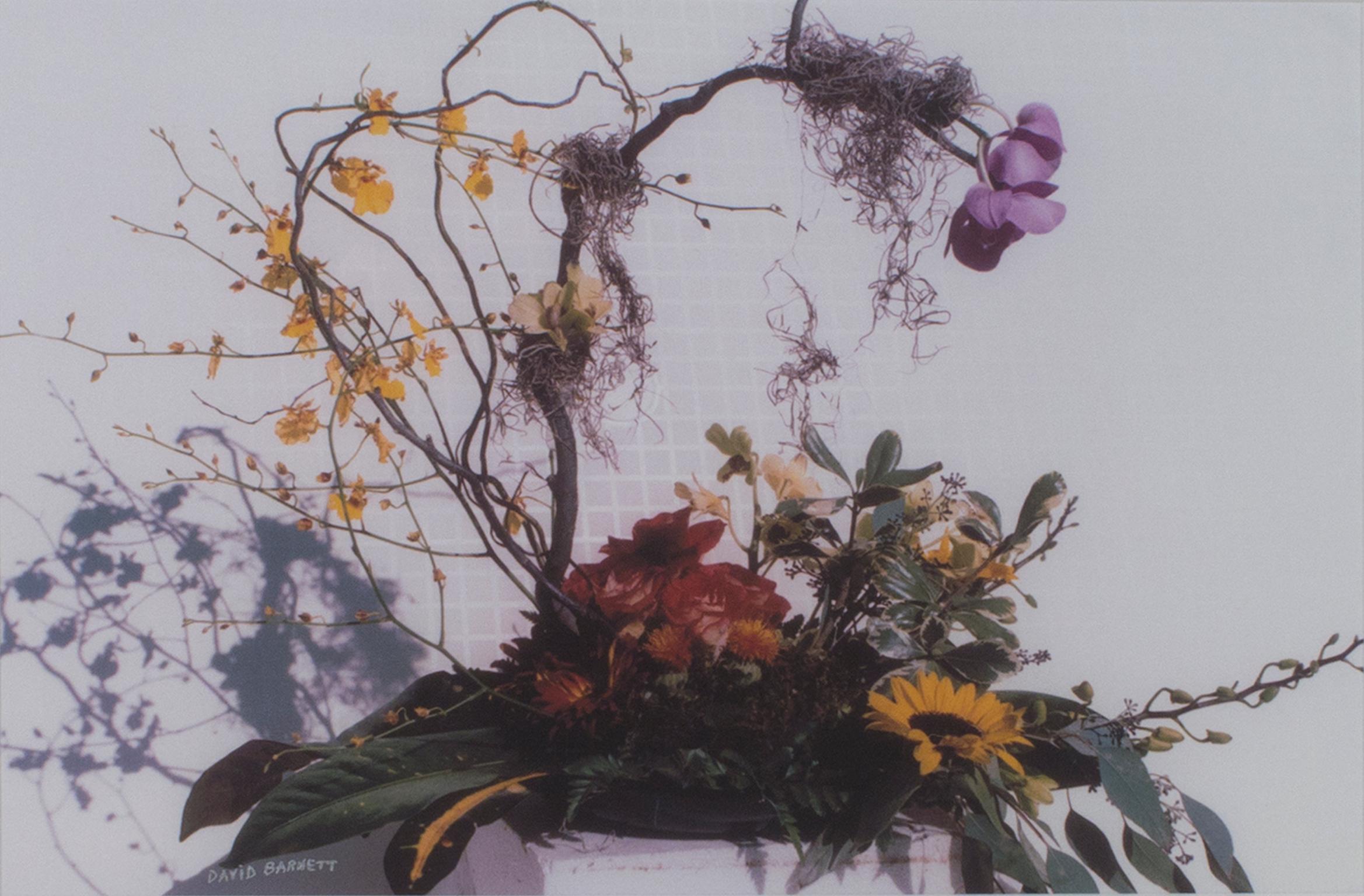 ""Feng Shui Floral", Original-Stillleben-Fotografie, signiert von David Barnett