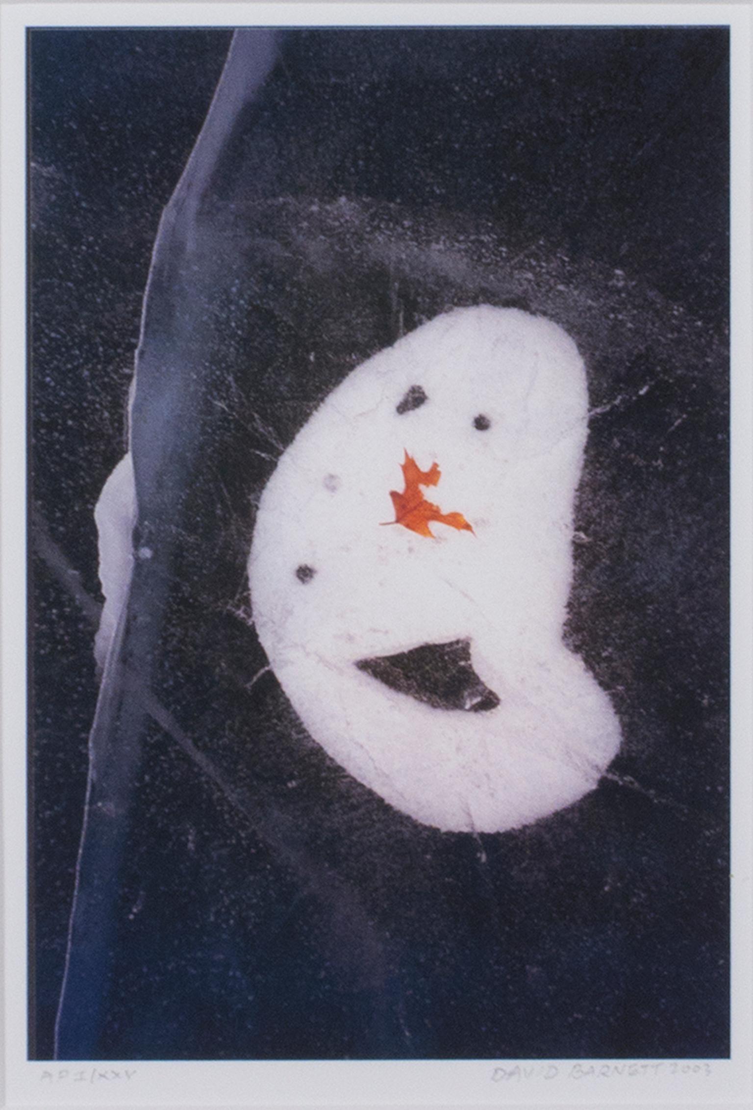"Frozen Faces Series : Face to Face" est une photographie originale de David Barnett, prise avec un film 35 mm et imprimée en giclée sur papier aquarelle. Il est signé en bas à droite. Cette image montre des bulles d'air dans la glace à la surface