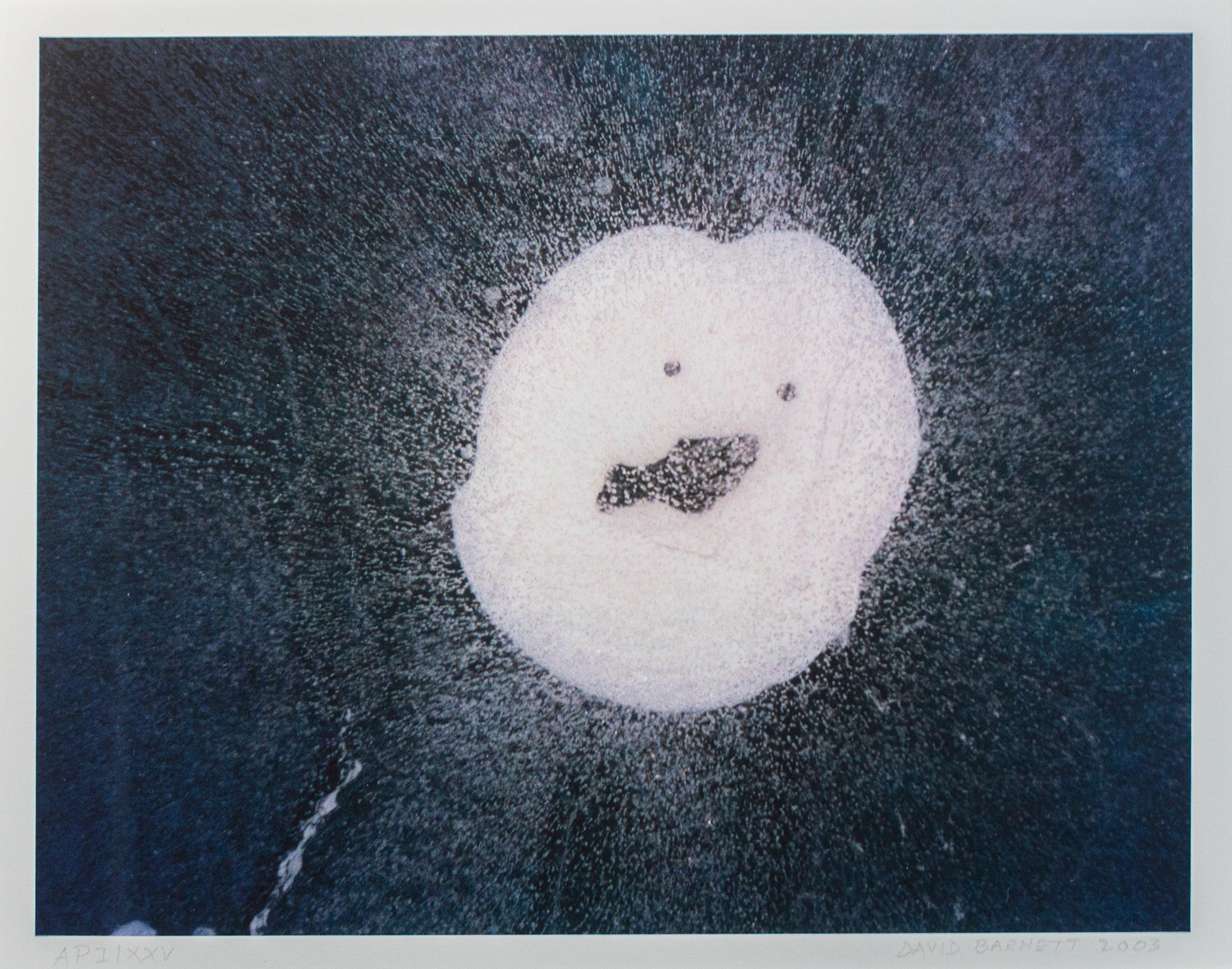 'Frozen Faces Series: Fish Face' signed artist's proof I/XXV fine art photograph - Photograph by David Barnett