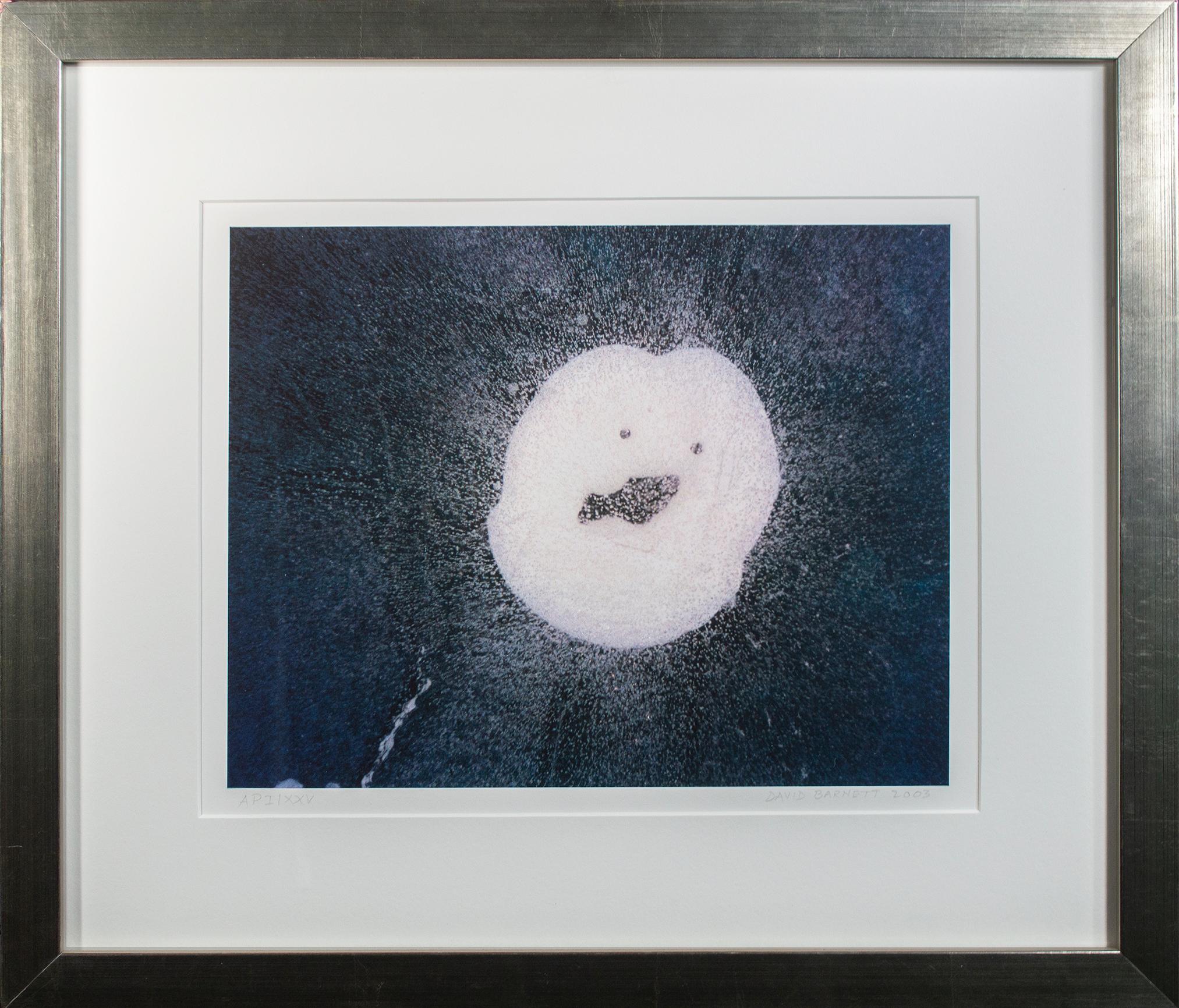 David Barnett Abstract Photograph - 'Frozen Faces Series: Fish Face' signed artist's proof I/XXV fine art photograph