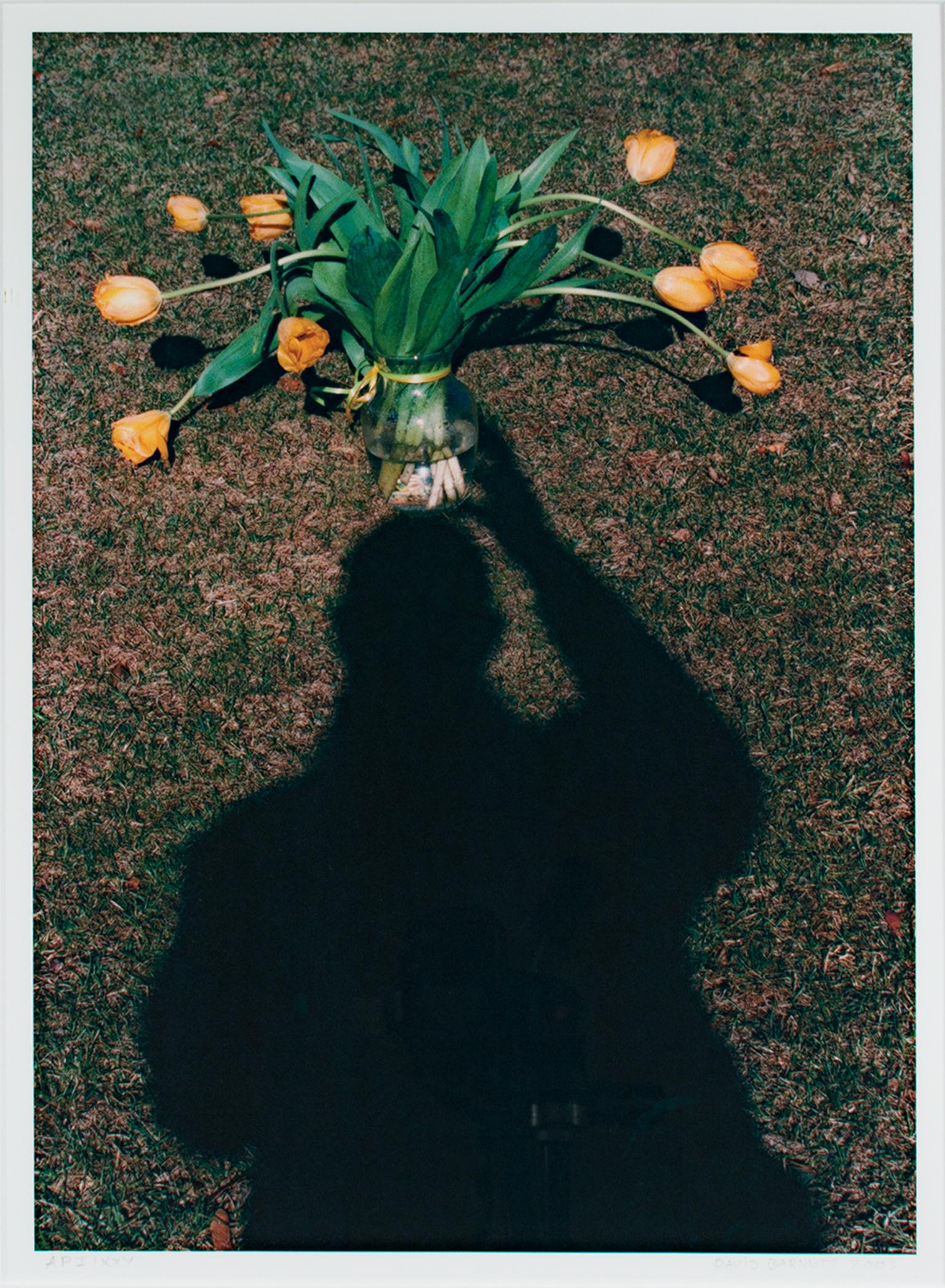 "Self Portrait: Hold Still - Life Illusion, " Photograph signed by David Barnett