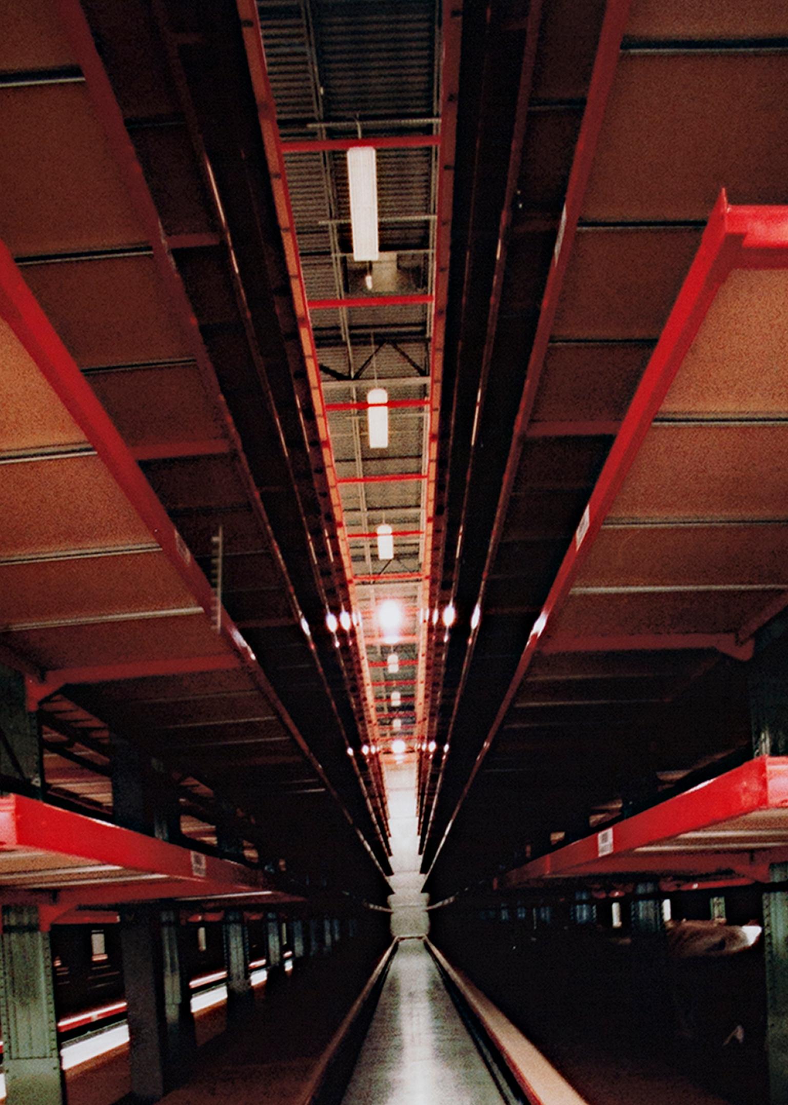 « Série d'entrepôts de Stefaninhafel, Forêt en acier inoxydable », photo de David Barnett en vente 1